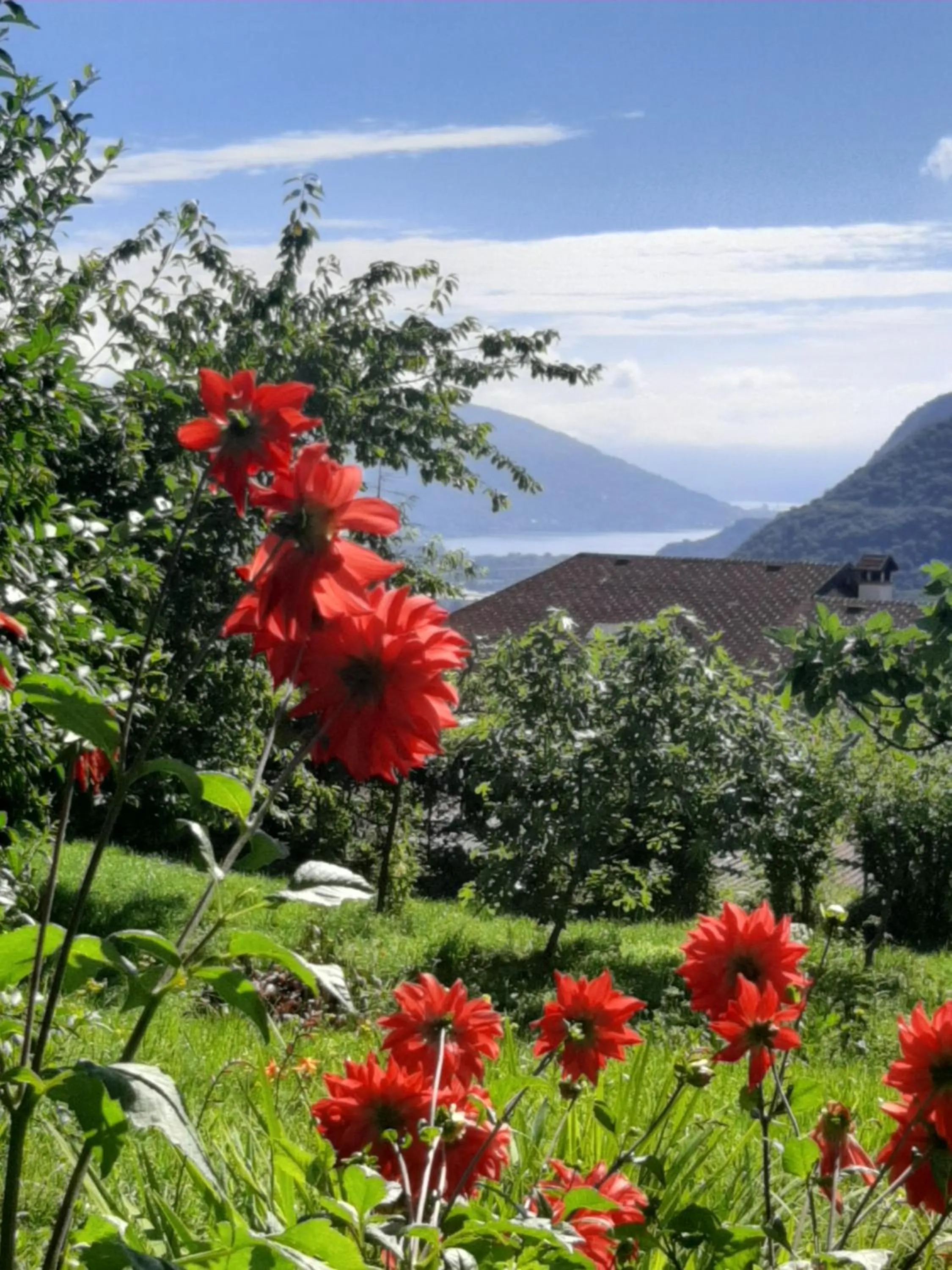 Garden in B&B Al Mutpron
