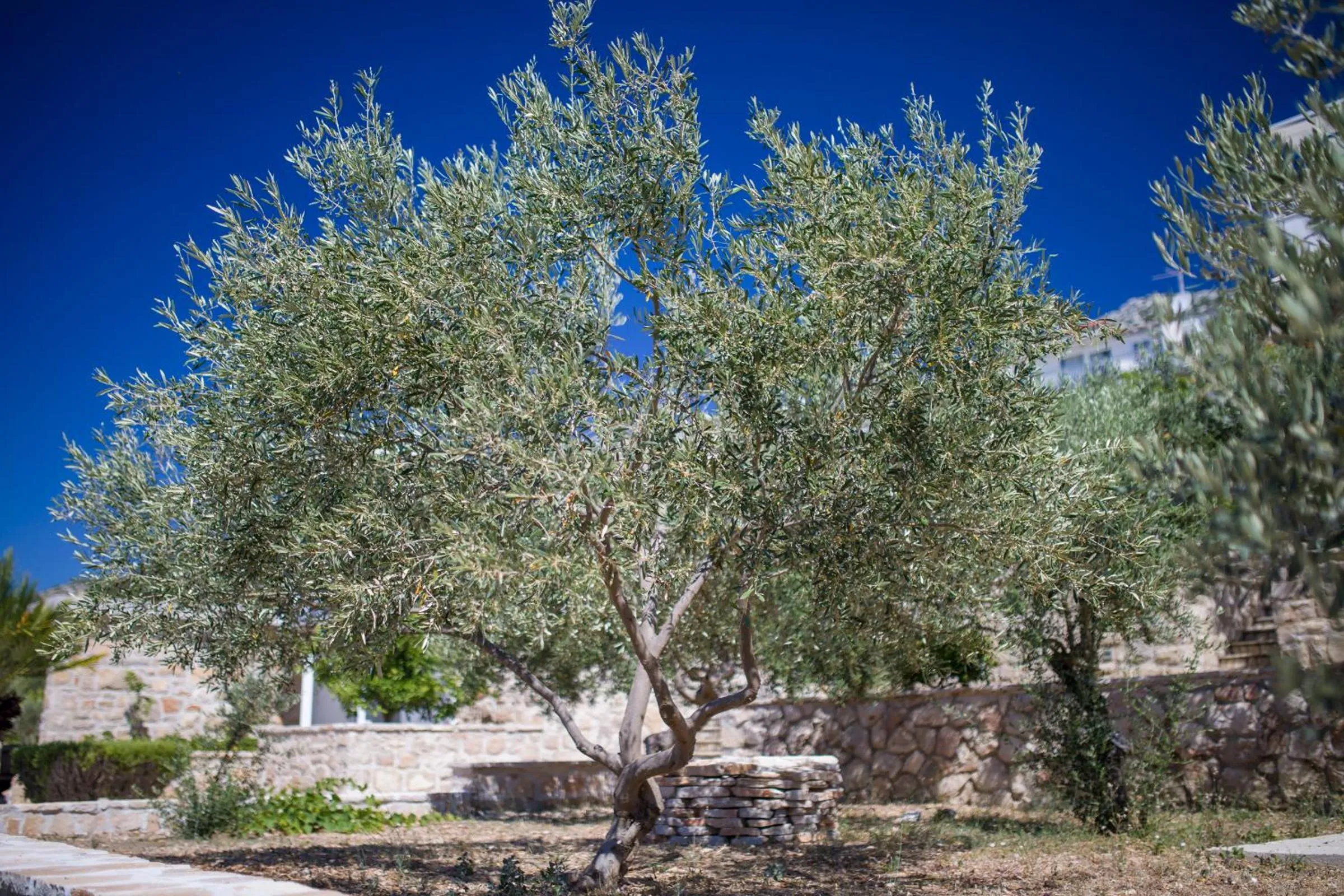 Stella Mare Eco Boutique House