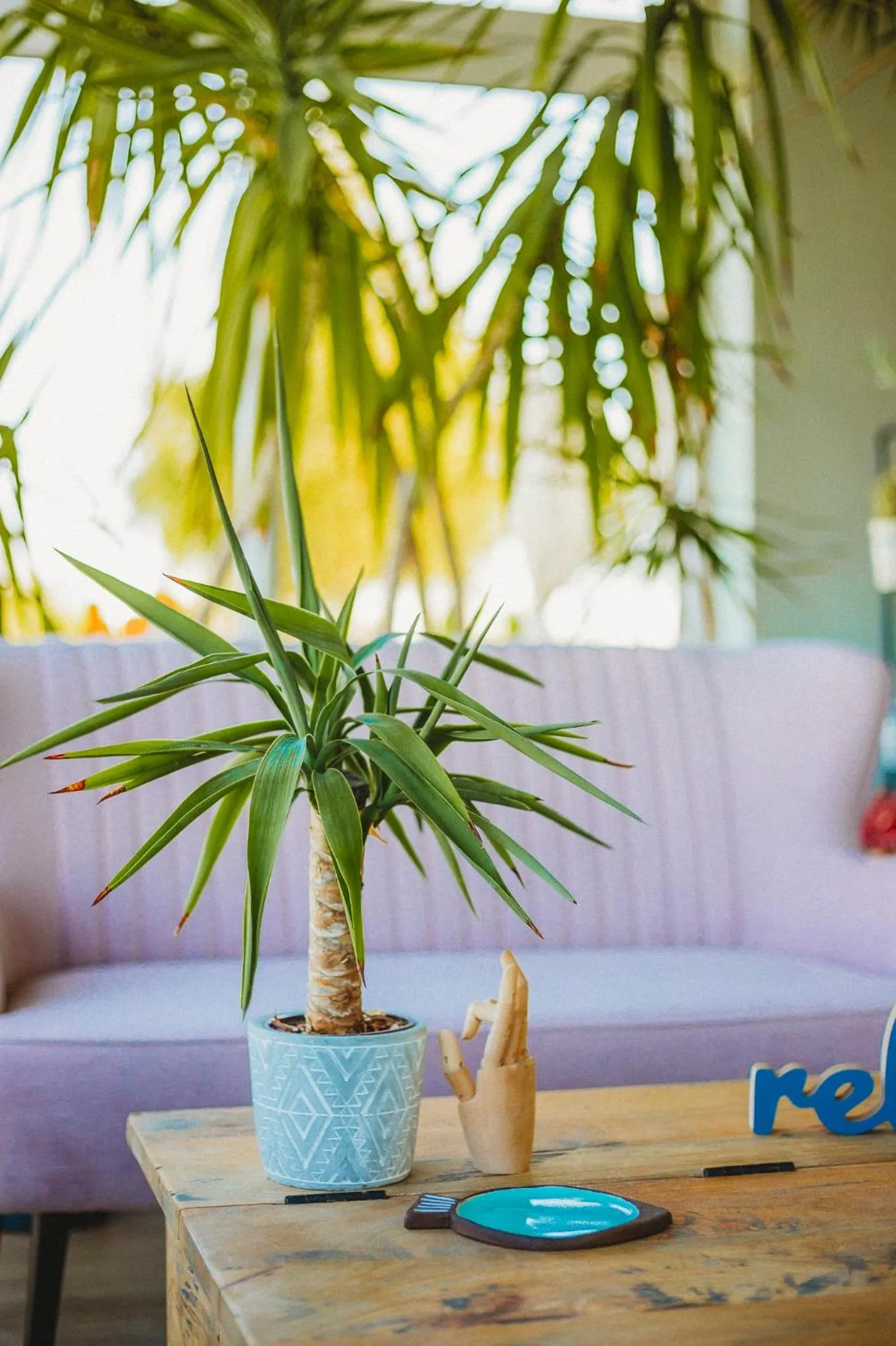 Apartamenty Rodzinne Plater74