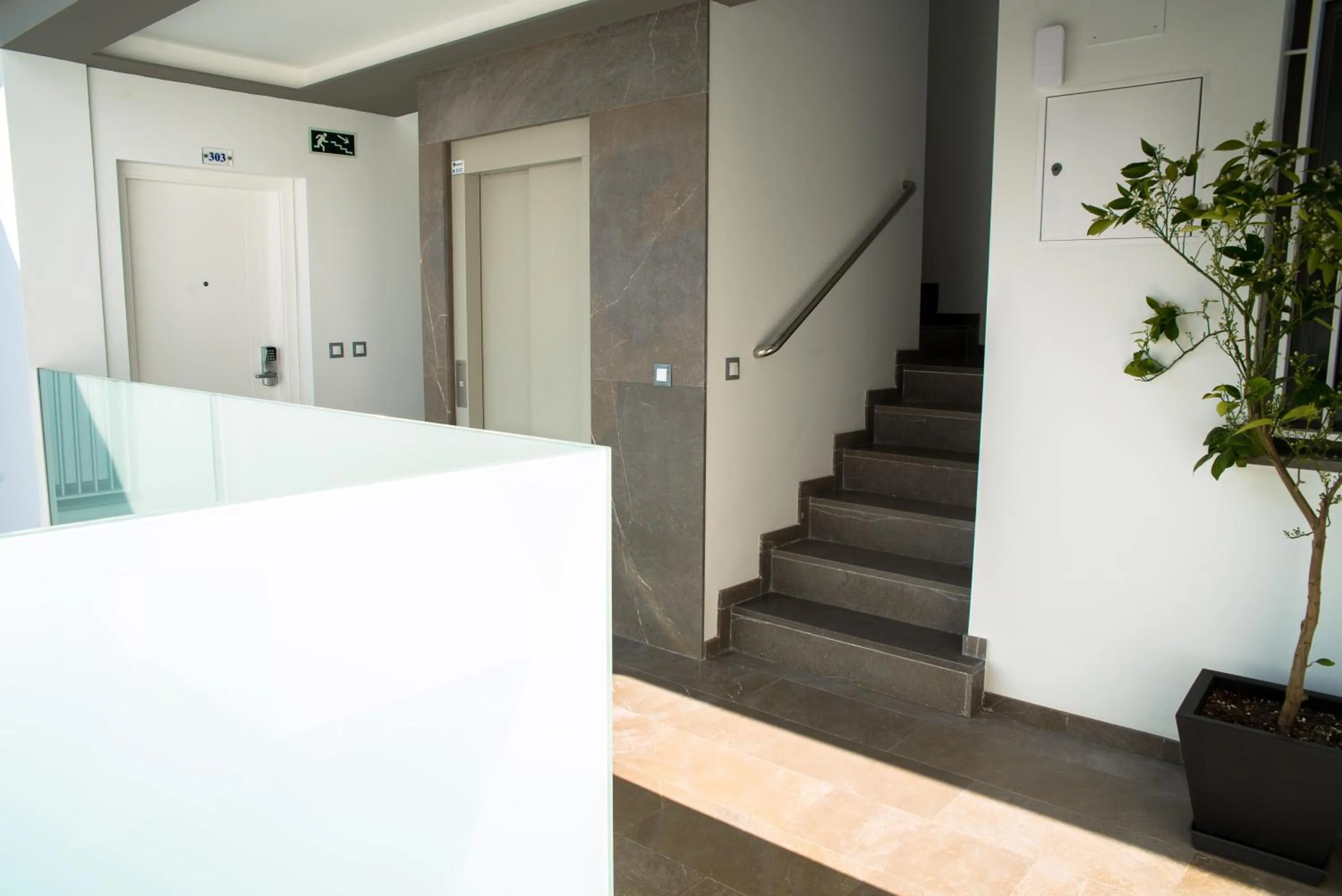 Other in Apartamentos Campo Del Príncipe