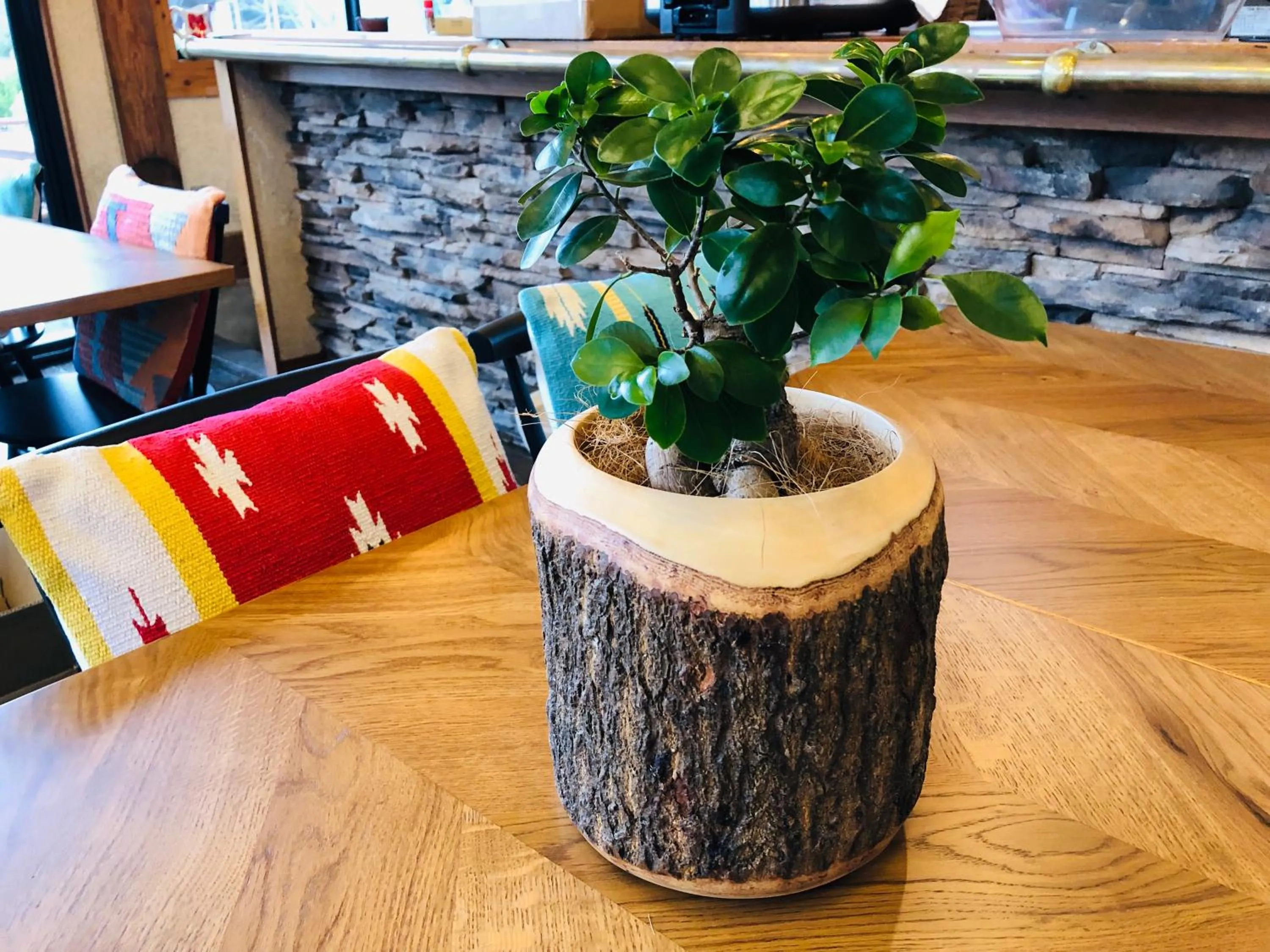 Restaurant/places to eat in Fiore Shima