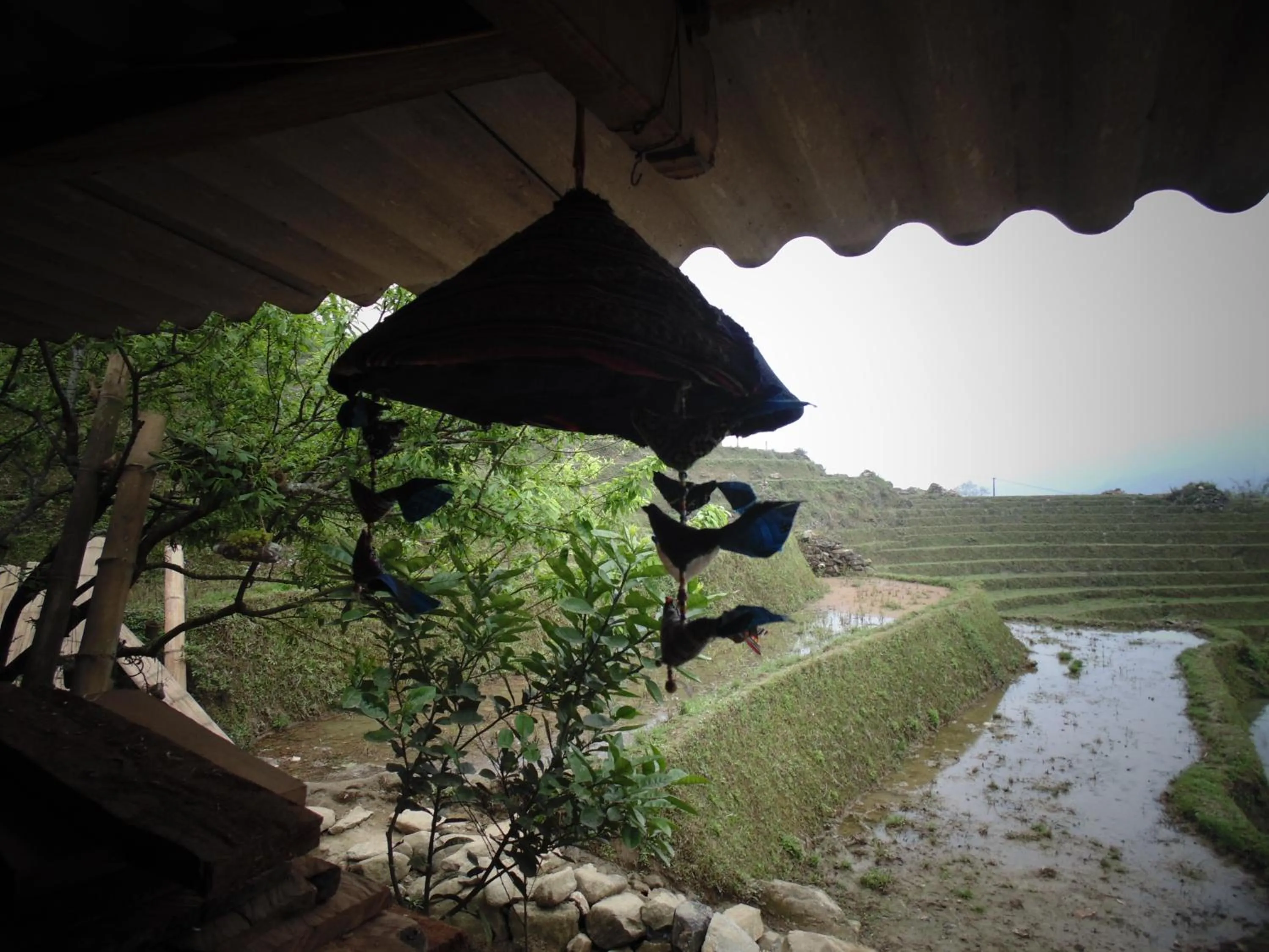 Mekhoo & Zizi Sapa Homestay