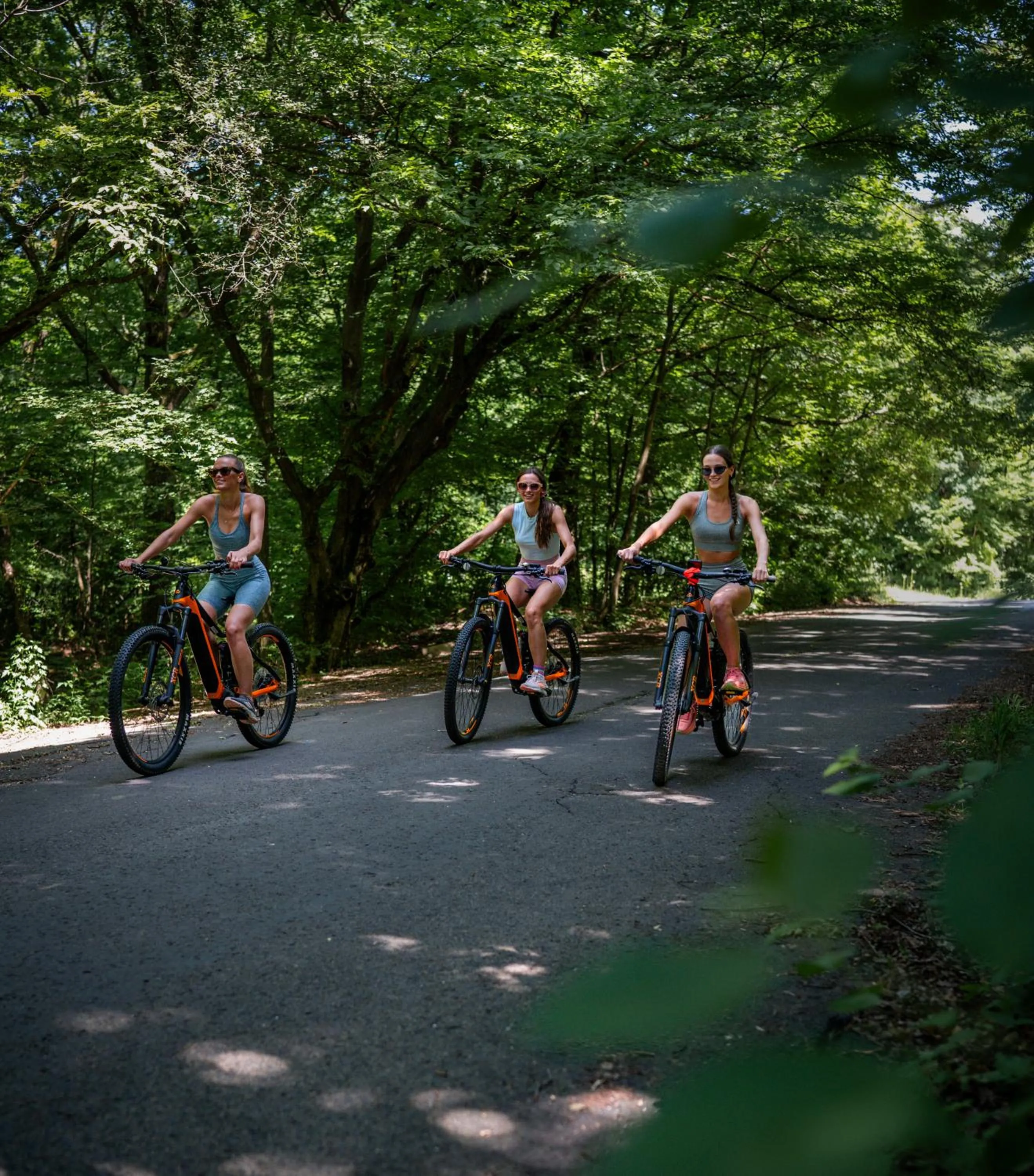 Cycling in Avalon Resort & SPA