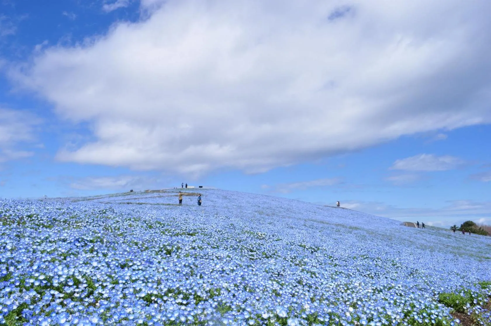 Nearby landmark in Terrace Inn Katsuta