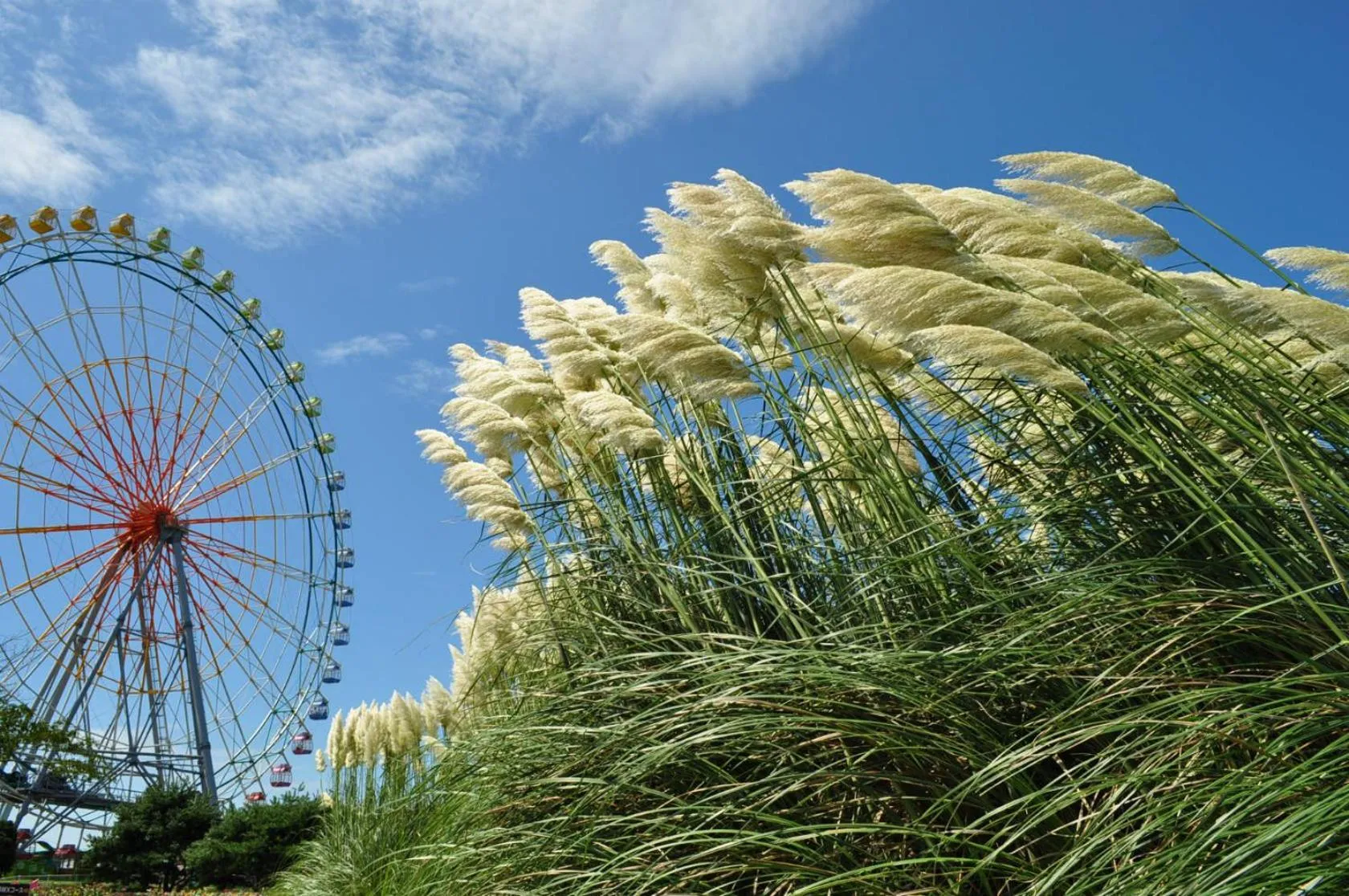 Nearby landmark in Terrace Inn Katsuta