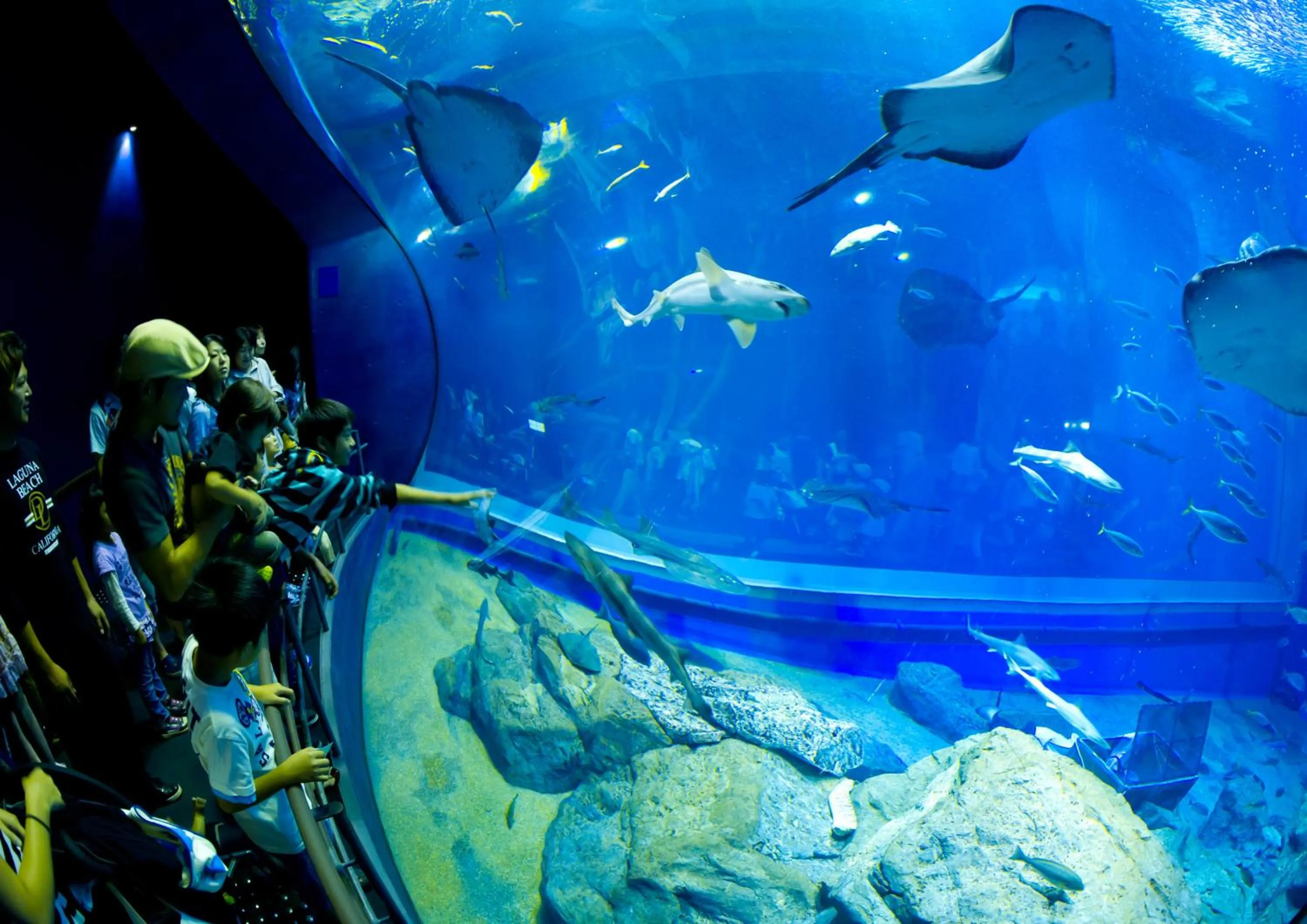 Nearby landmark in Terrace Inn Katsuta