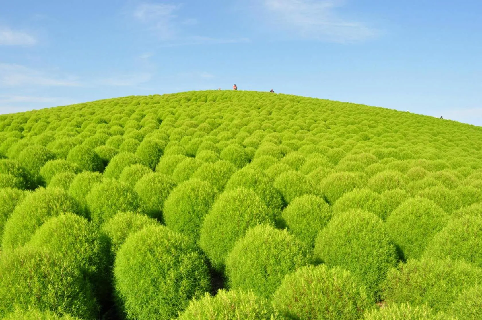 Nearby landmark in Terrace Inn Katsuta