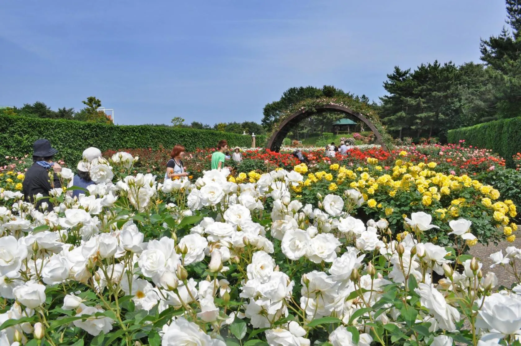 Nearby landmark in Terrace Inn Katsuta