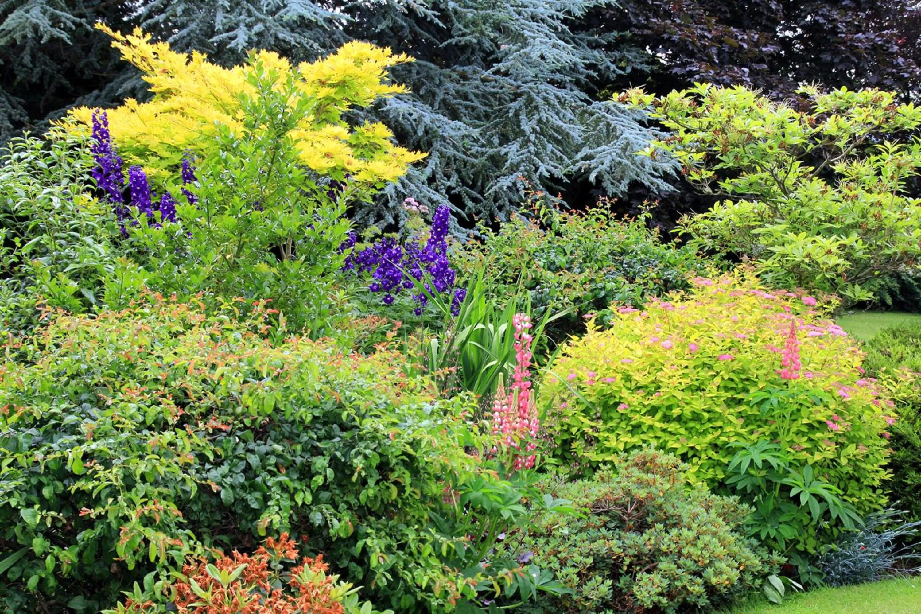 Garden in Westacre Bed & Breakfast