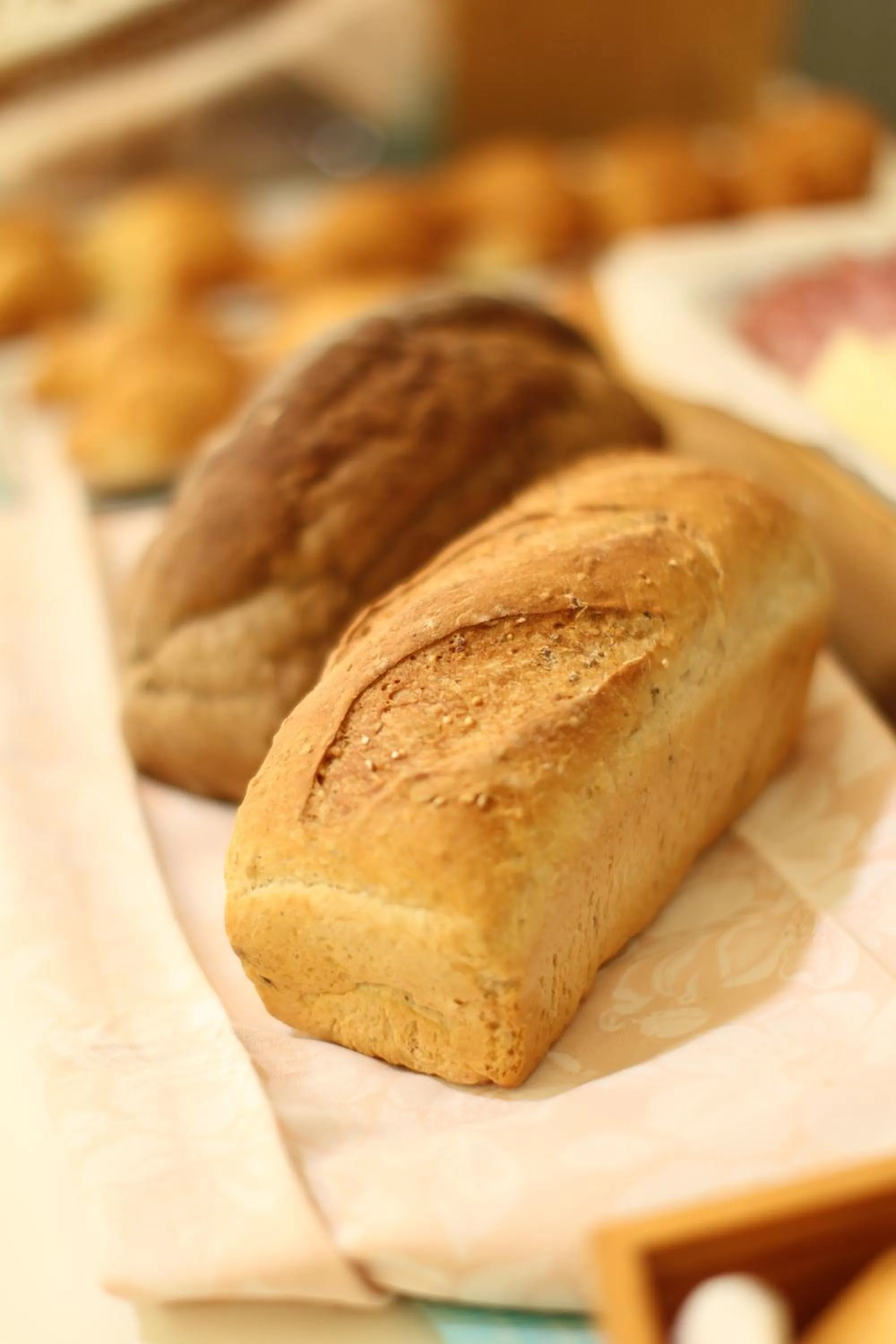 Food and drinks in Hotel Giorg - WaterPark Free Entrance