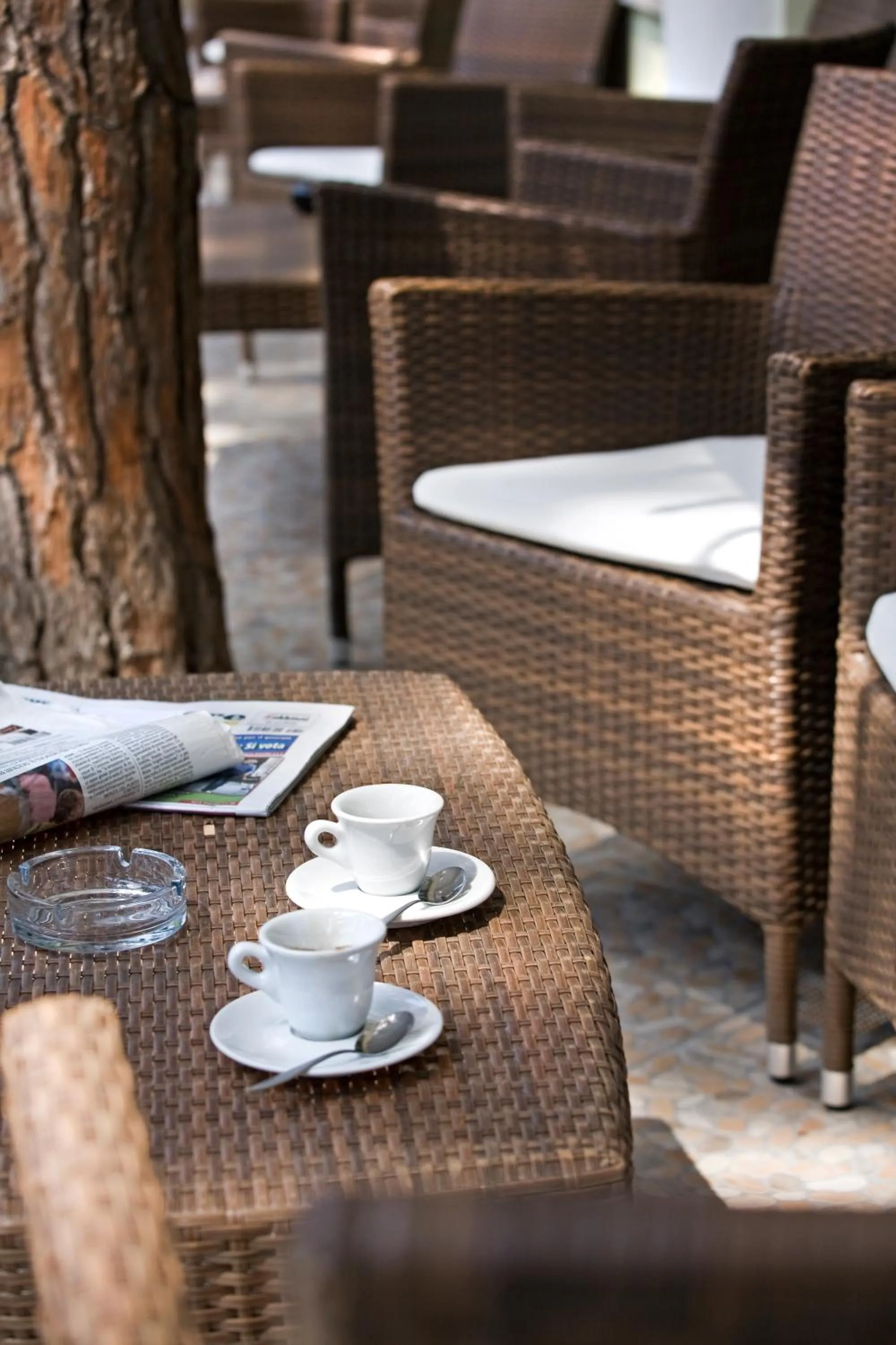 Garden in Hotel Boccaccio-free parking-