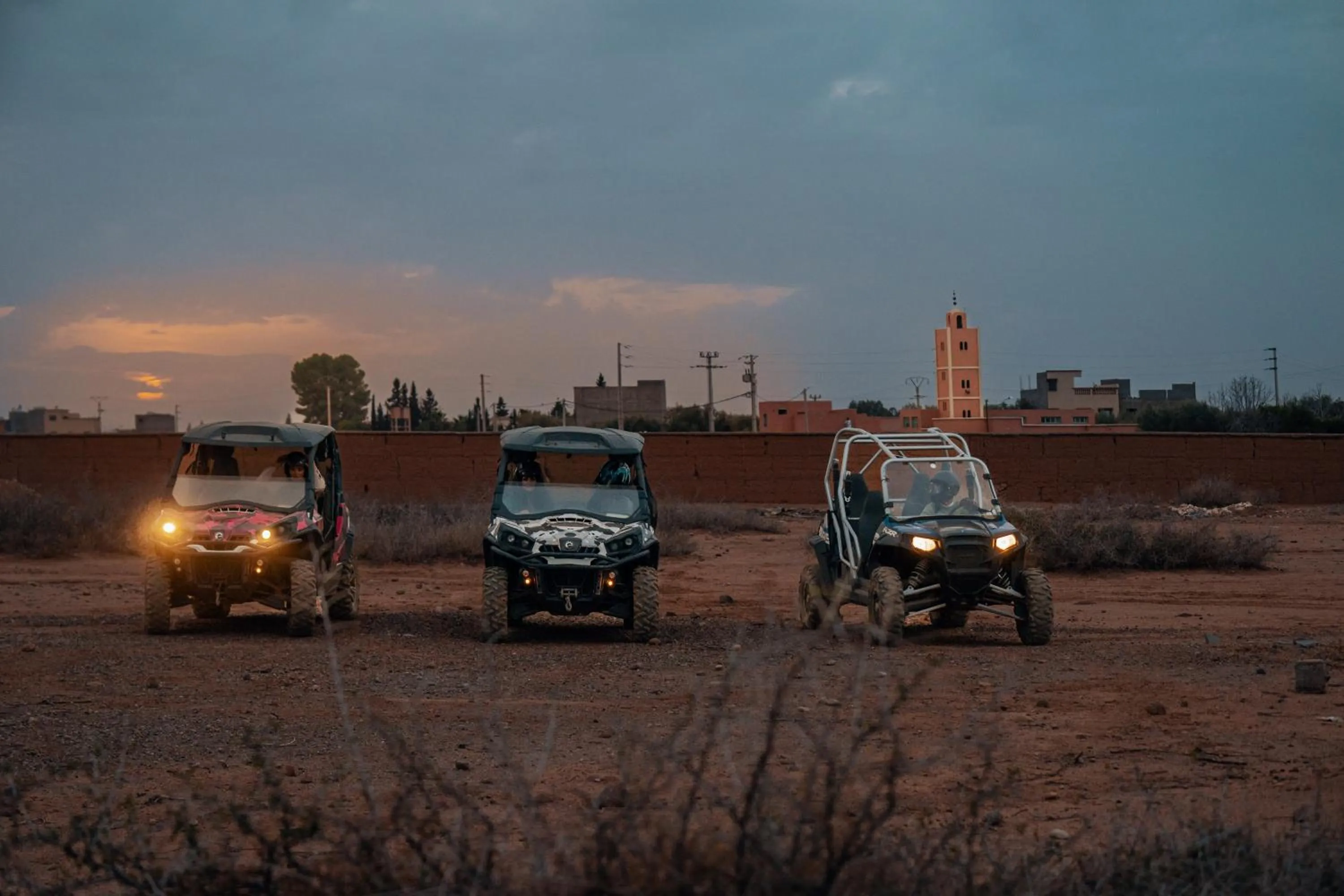 SOBOL Le Chant des Oliviers