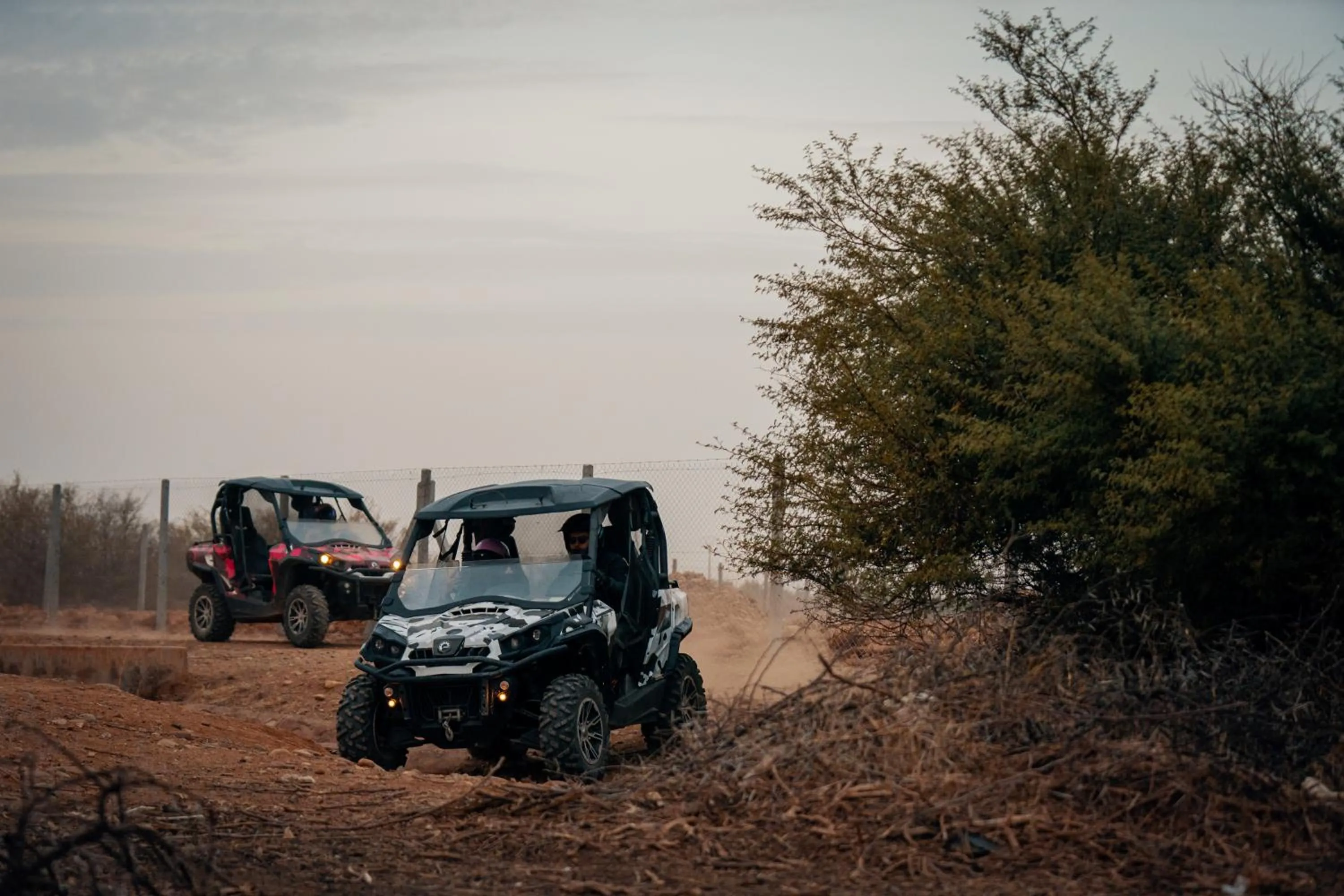 Activities in SOBOL Le Chant des Oliviers