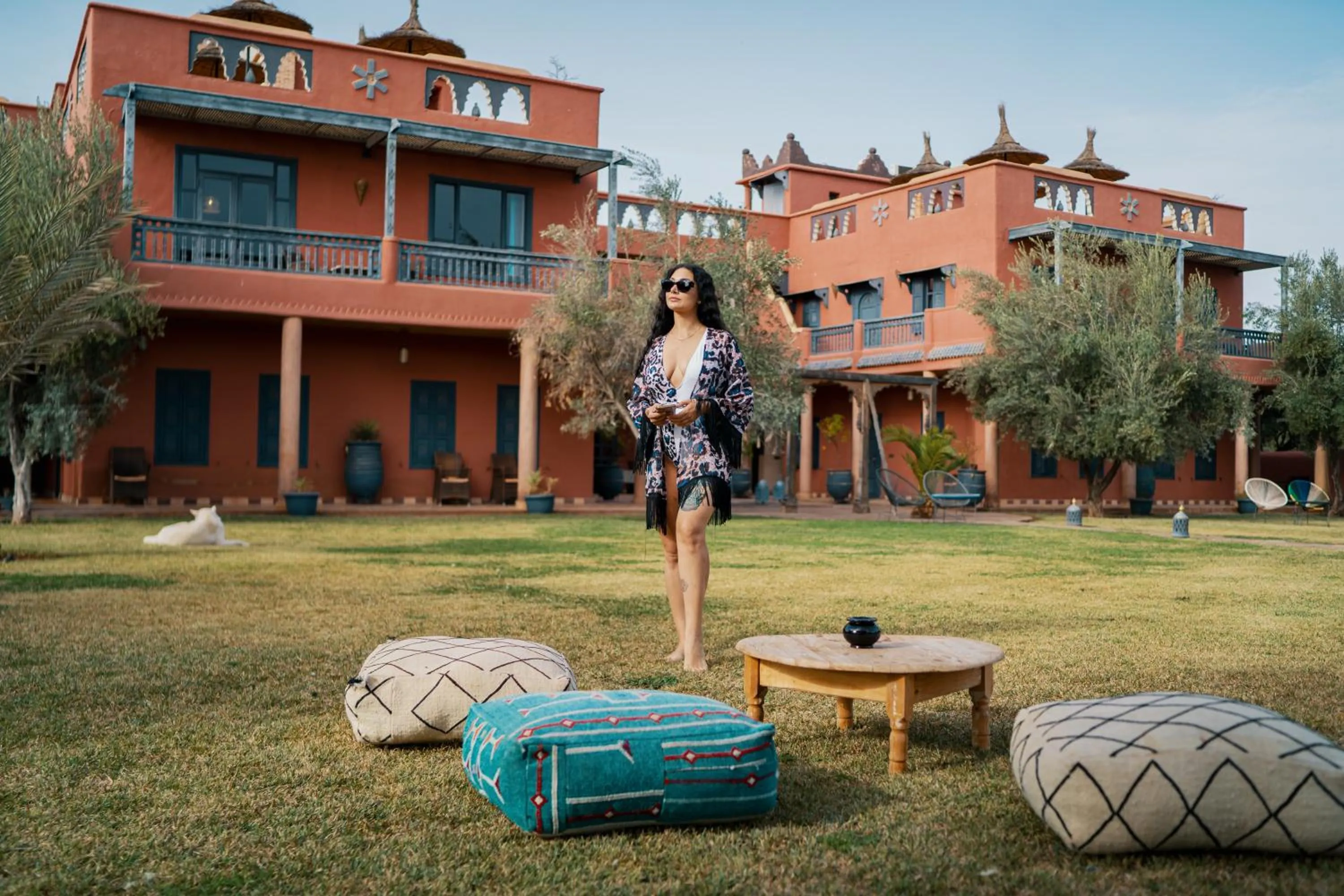 SOBOL Le Chant des Oliviers