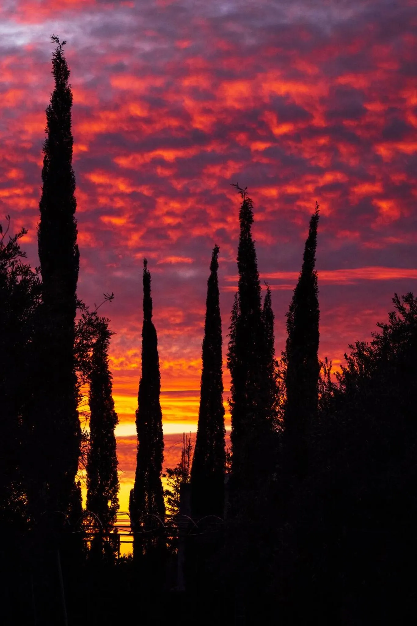 Natural landscape in SOBOL Le Chant des Oliviers