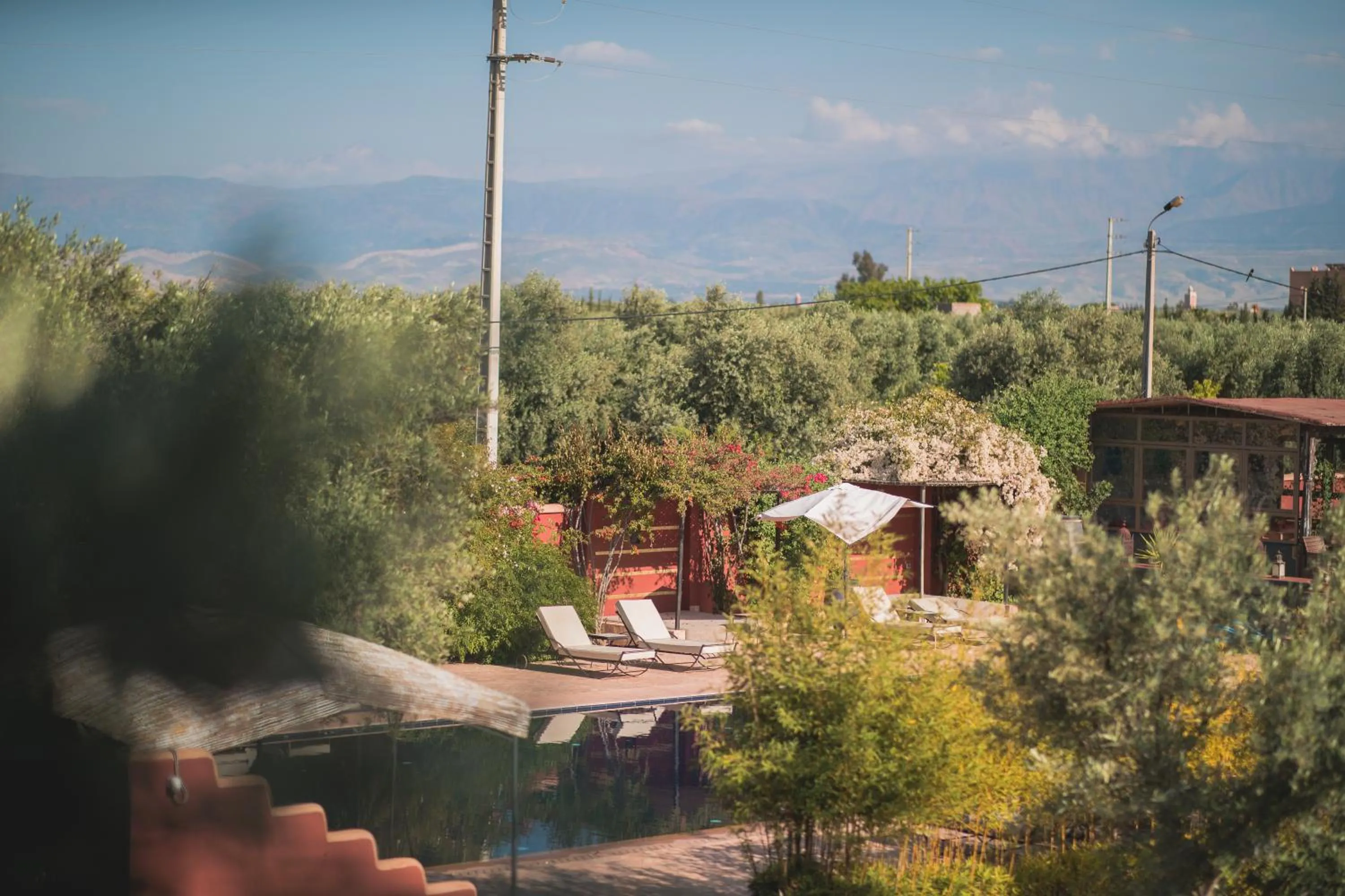 Spring in SOBOL Le Chant des Oliviers