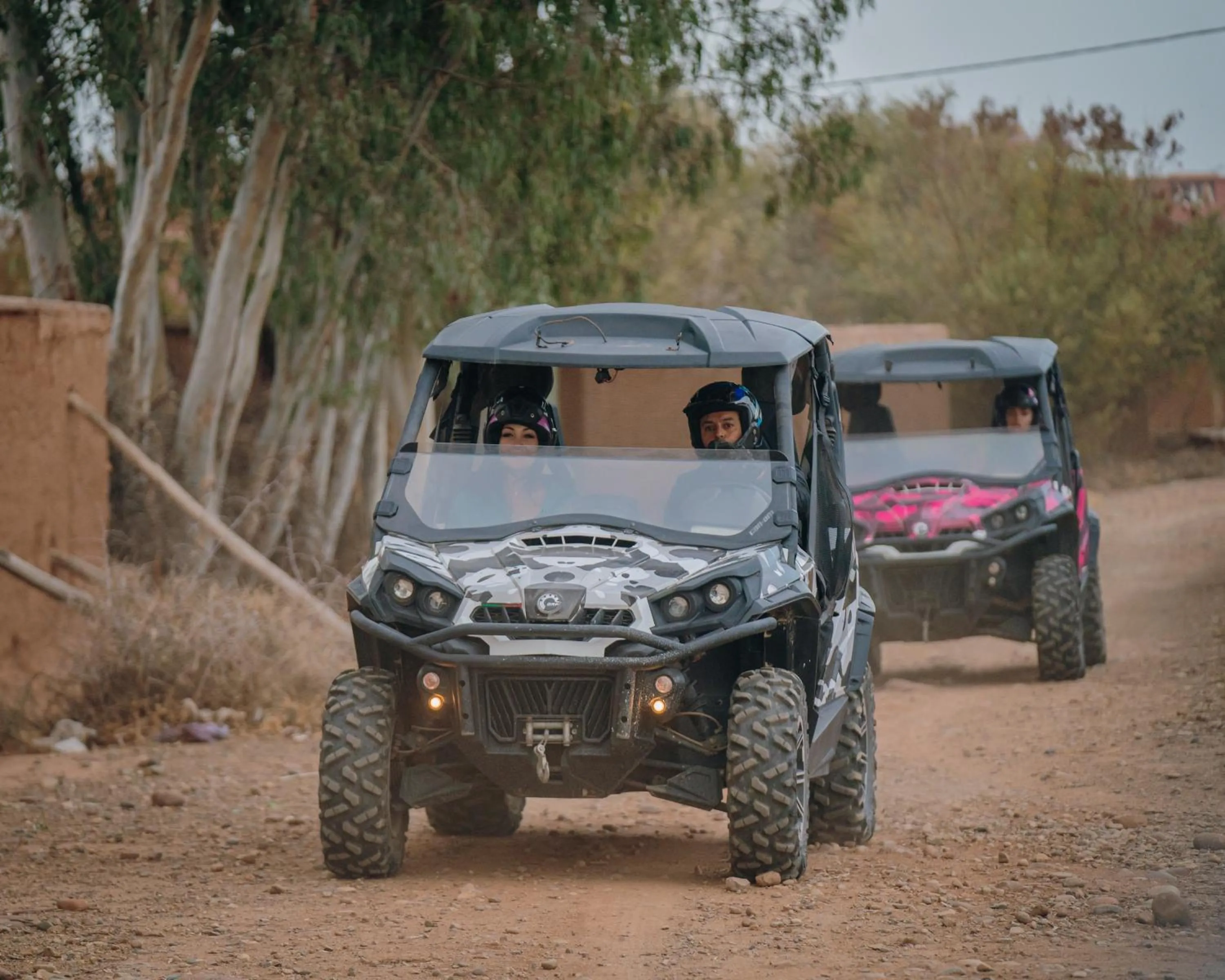 Activities in SOBOL Le Chant des Oliviers