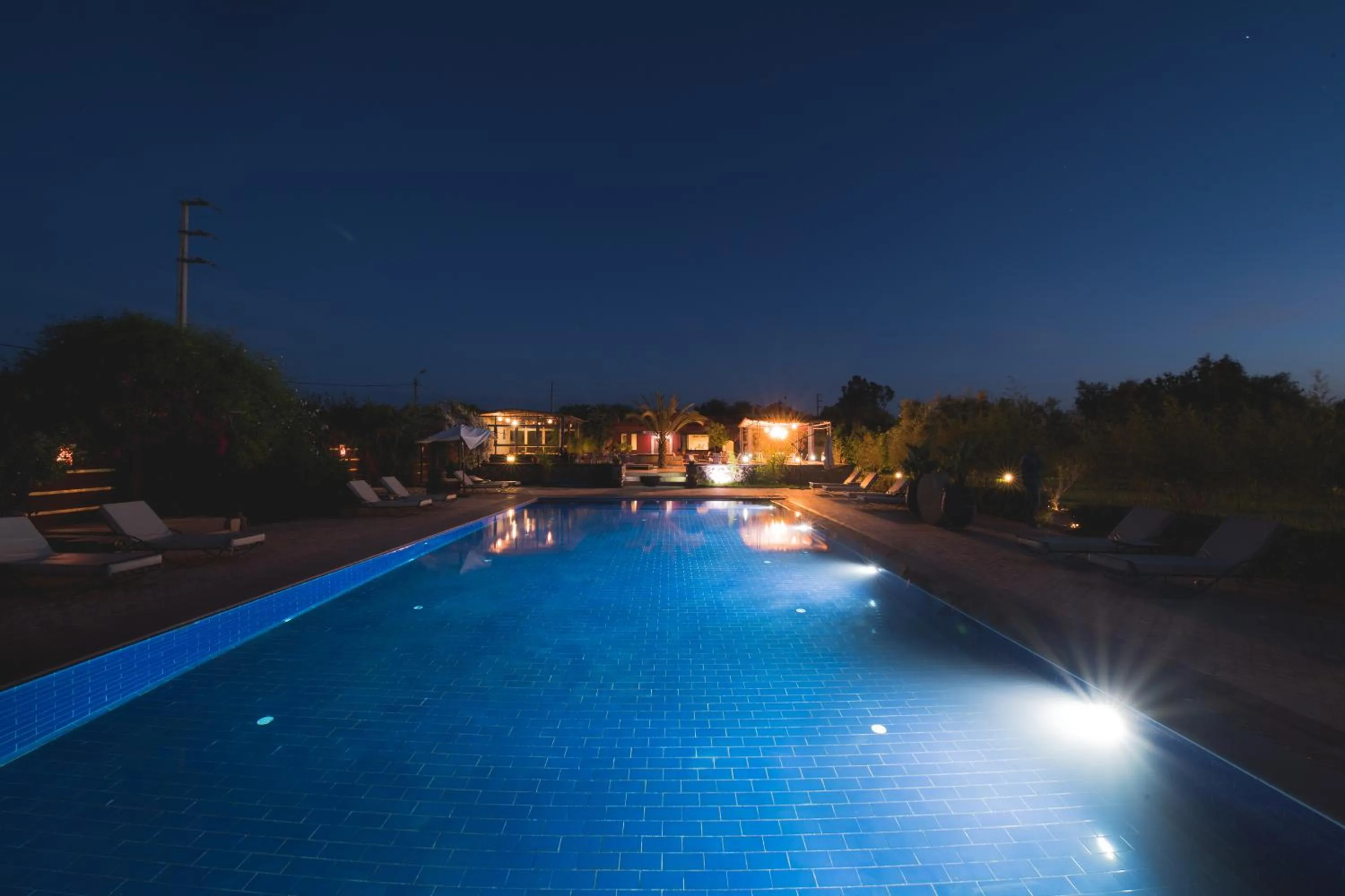 Night in SOBOL Le Chant des Oliviers