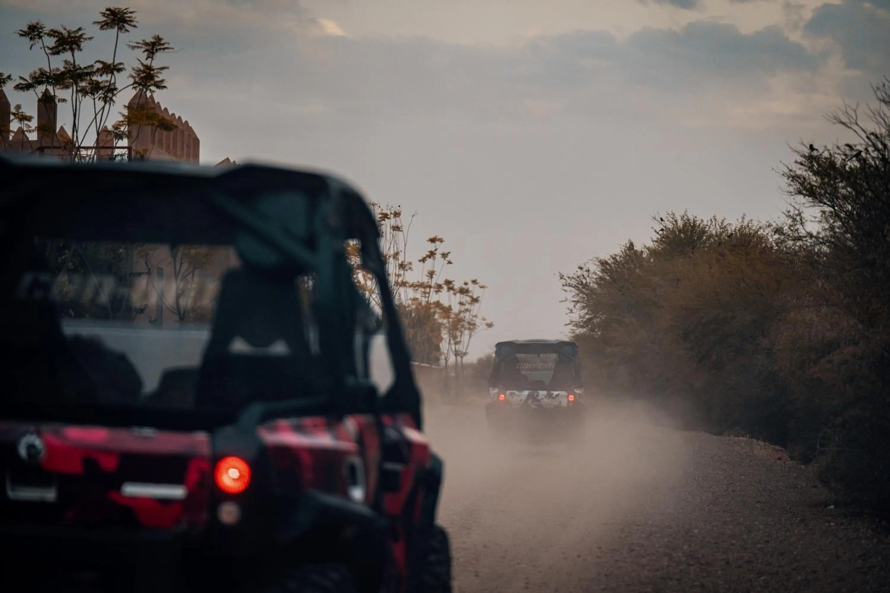 SOBOL Le Chant des Oliviers