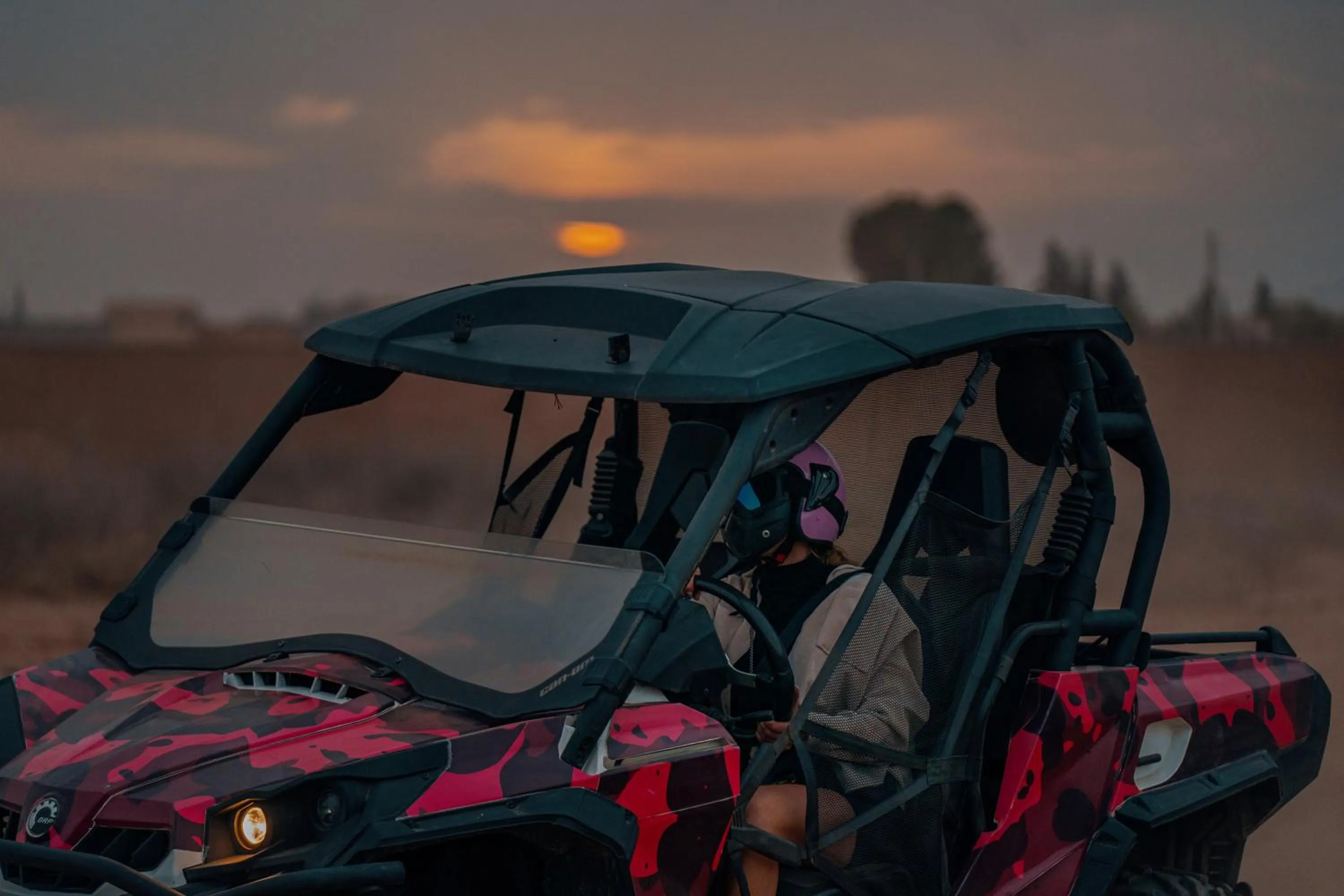 SOBOL Le Chant des Oliviers