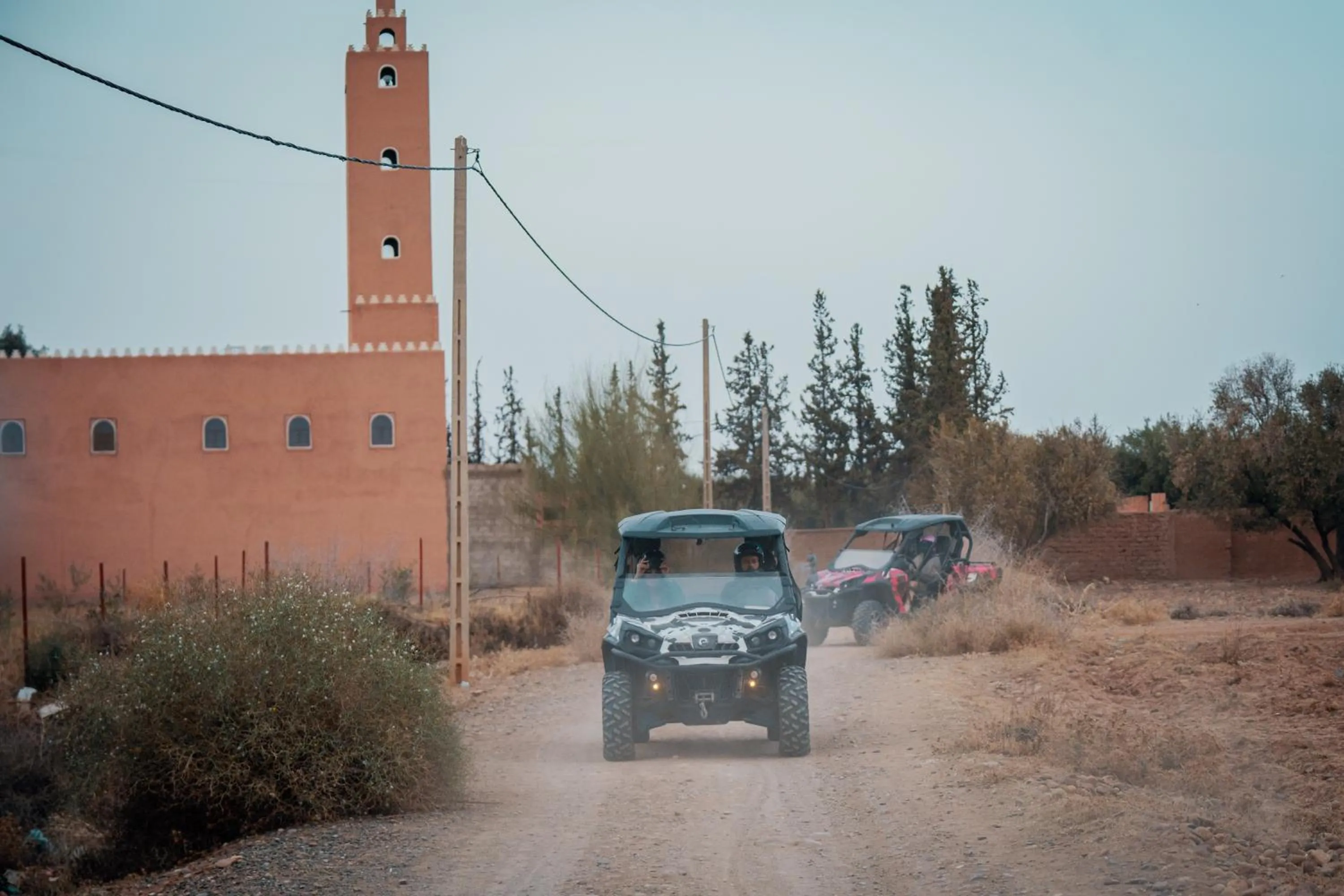 Activities in SOBOL Le Chant des Oliviers