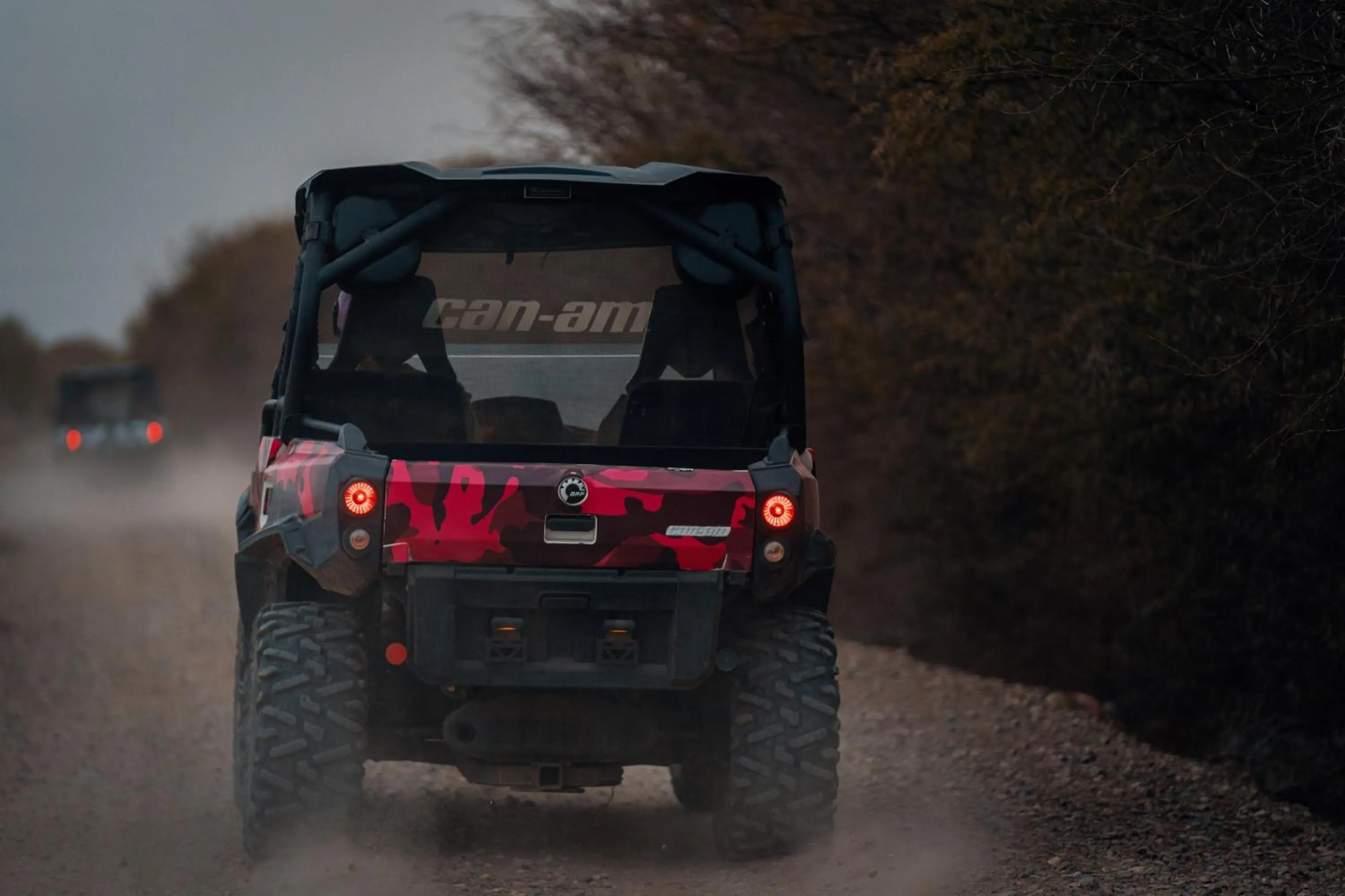 Activities in SOBOL Le Chant des Oliviers