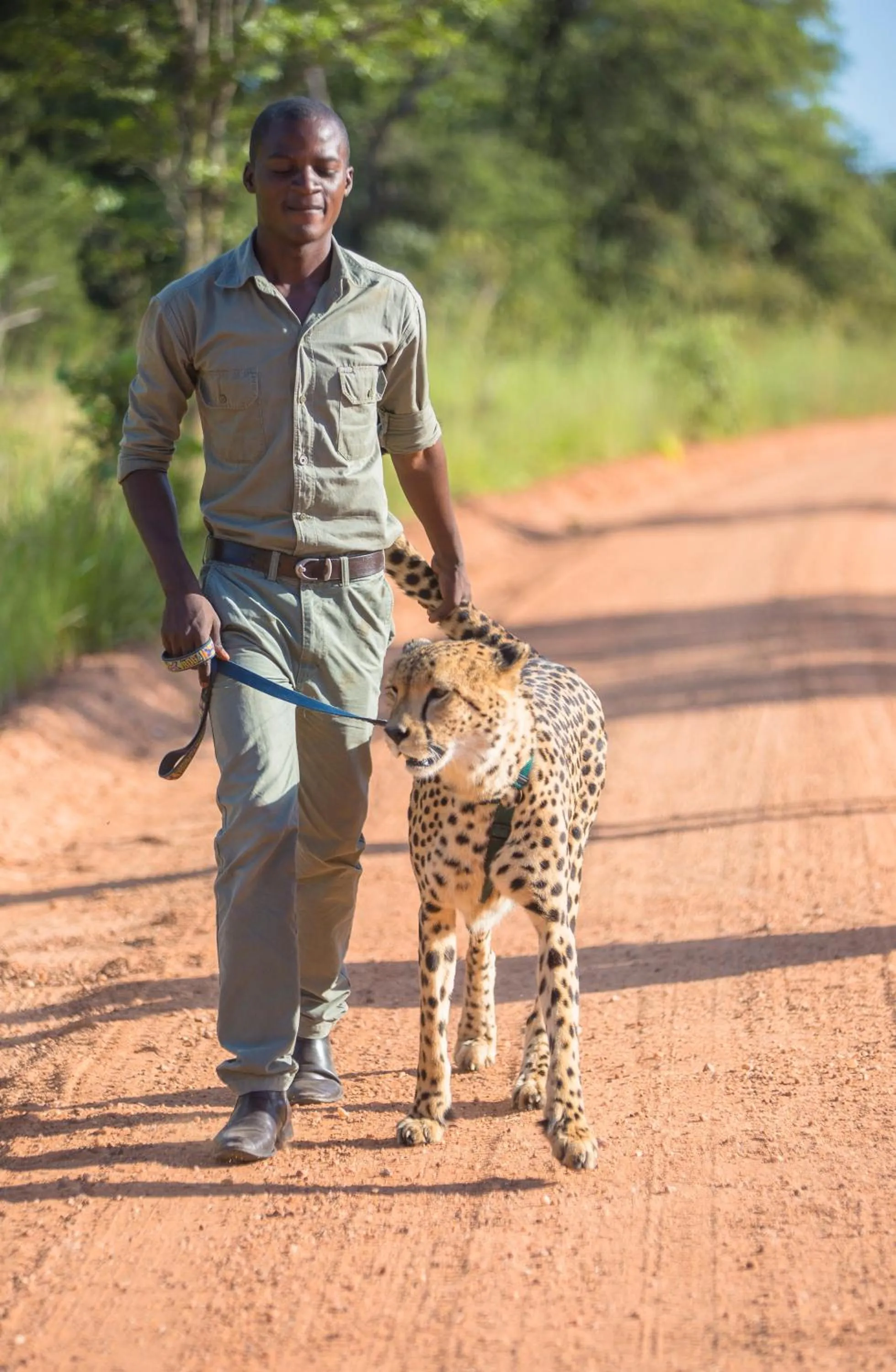 Staff in Chaminuka Lodge