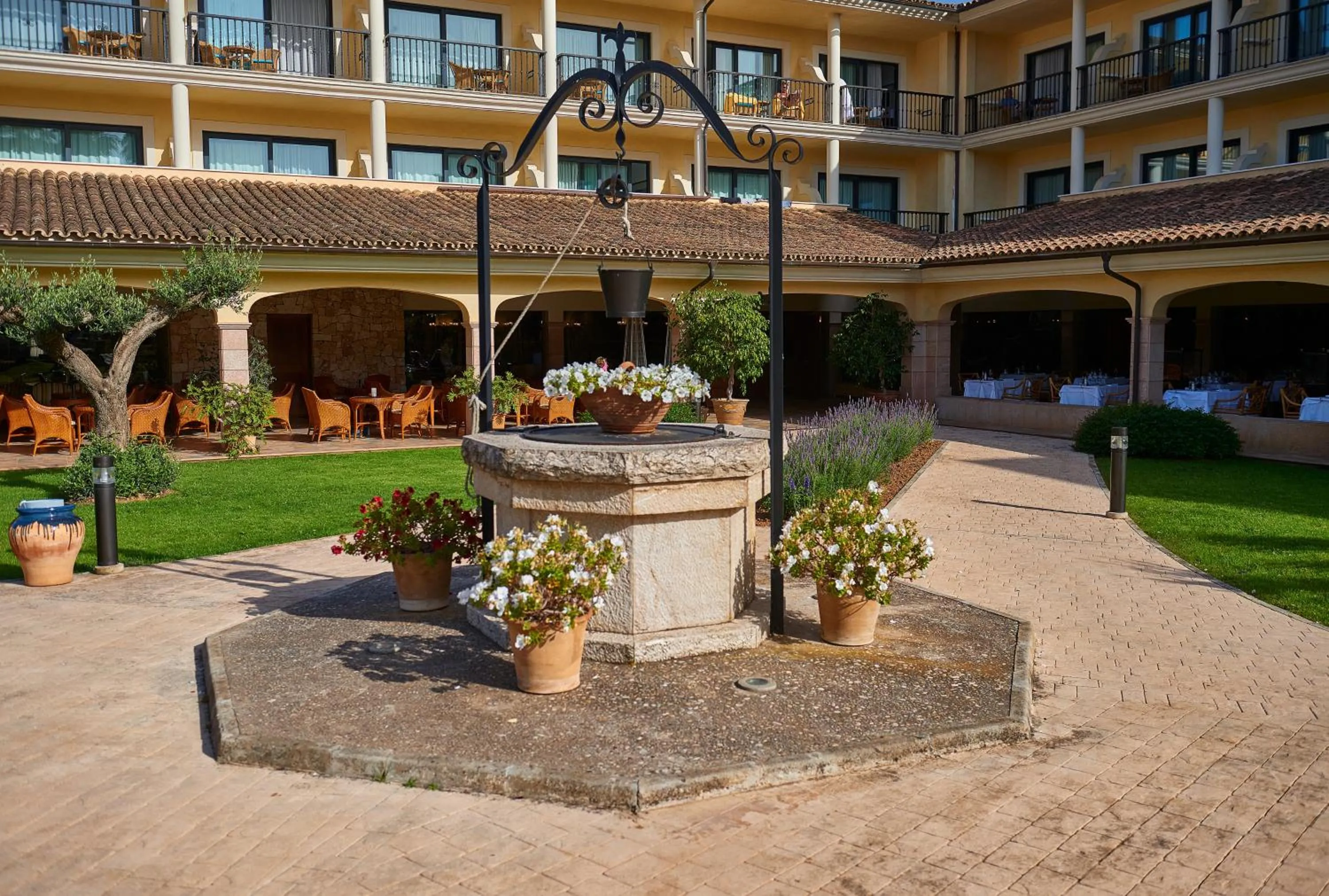 Garden in CM Mallorca Palace - Only Adults