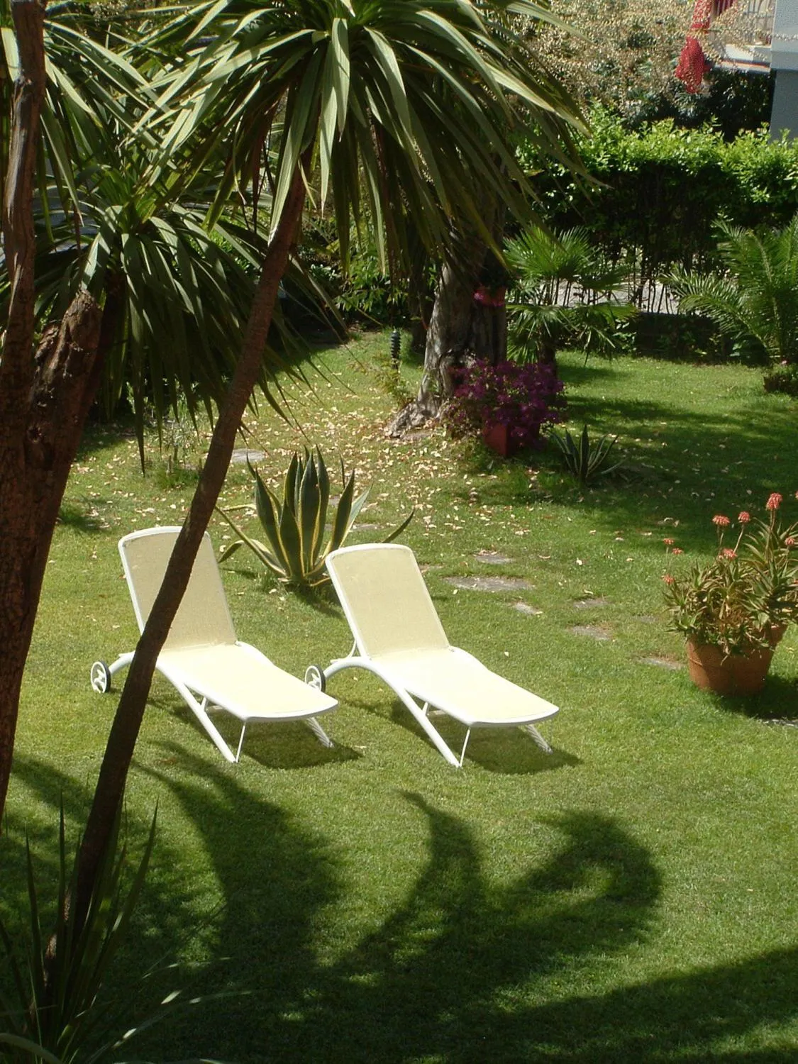 Garden in Hotel Marina