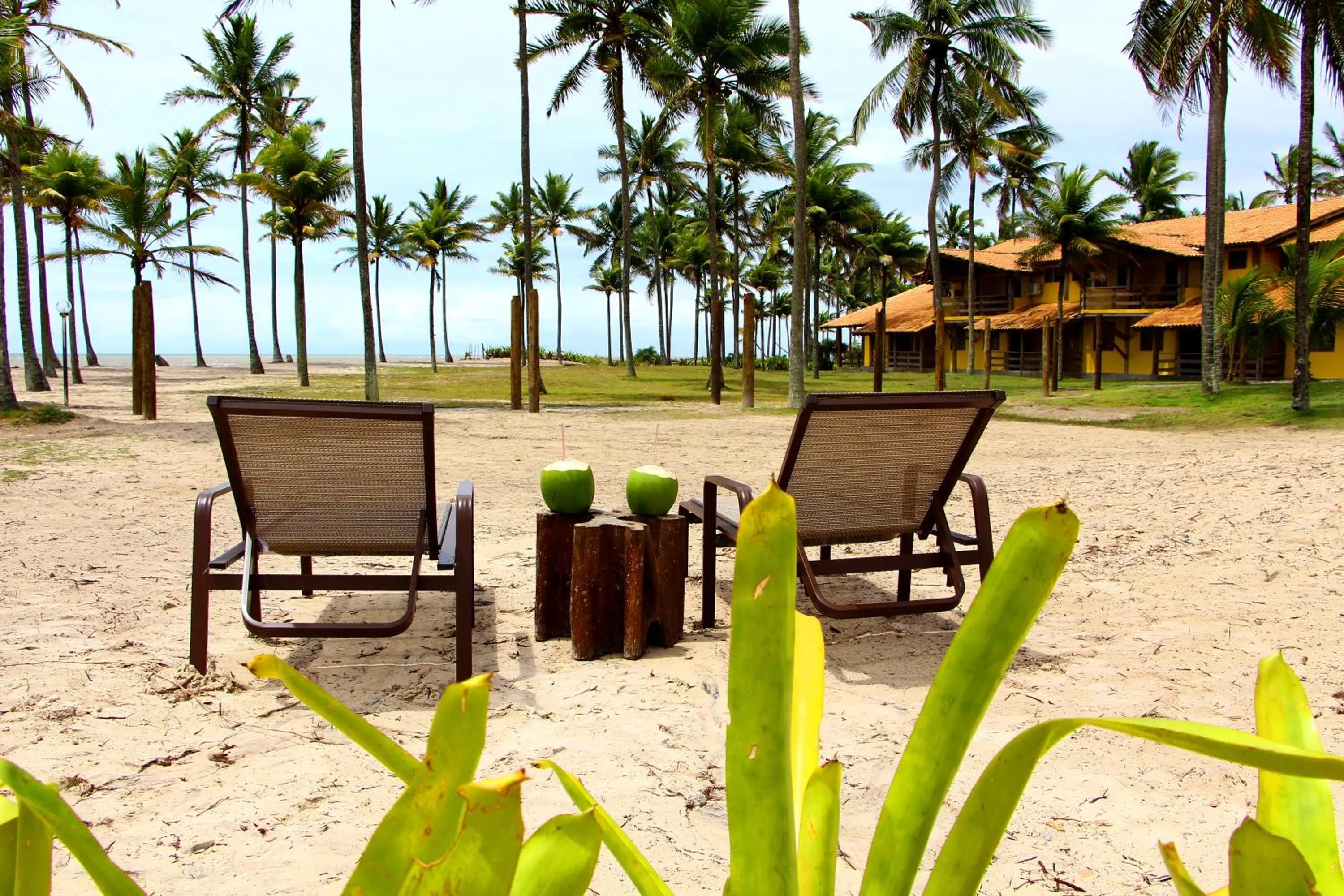 Garden in Makaira Beach Resort