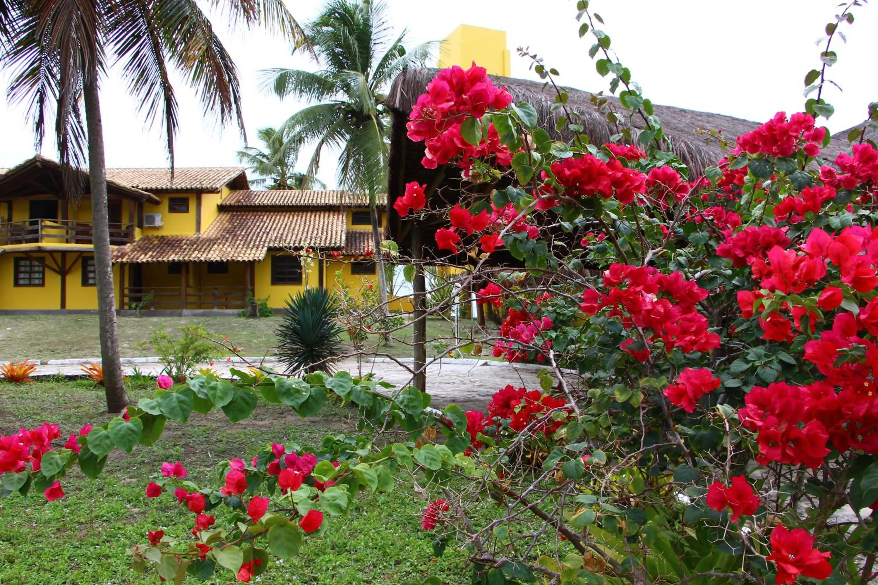 Property building in Makaira Beach Resort
