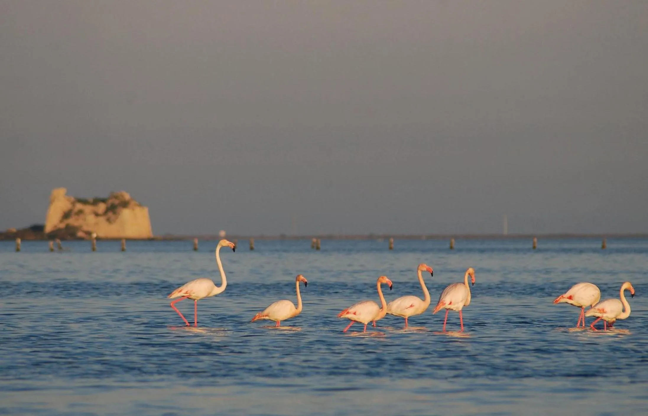 Natural landscape in La Llar de Laura