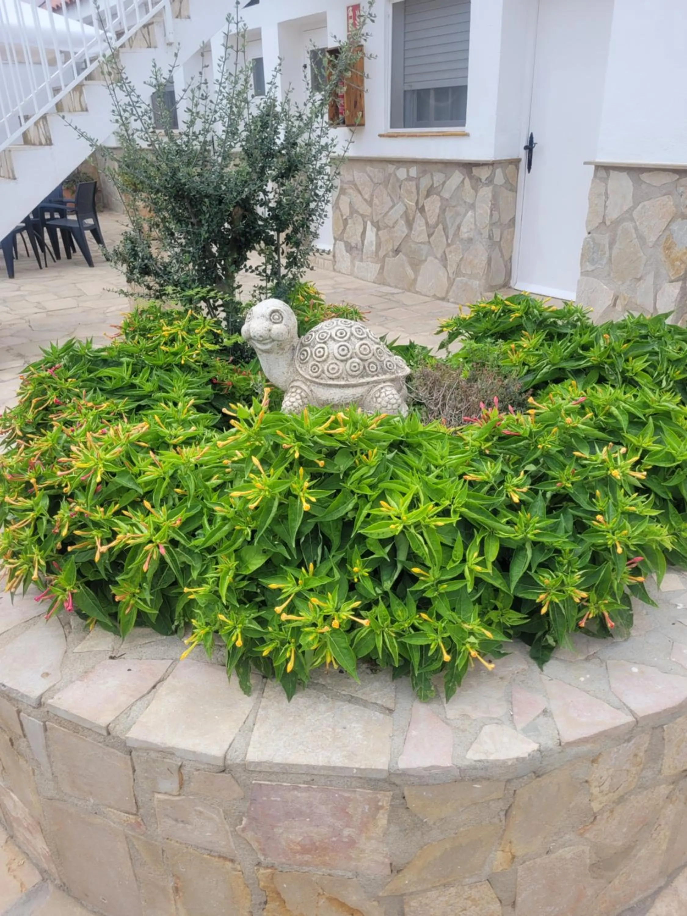 Garden in La Llar de Laura