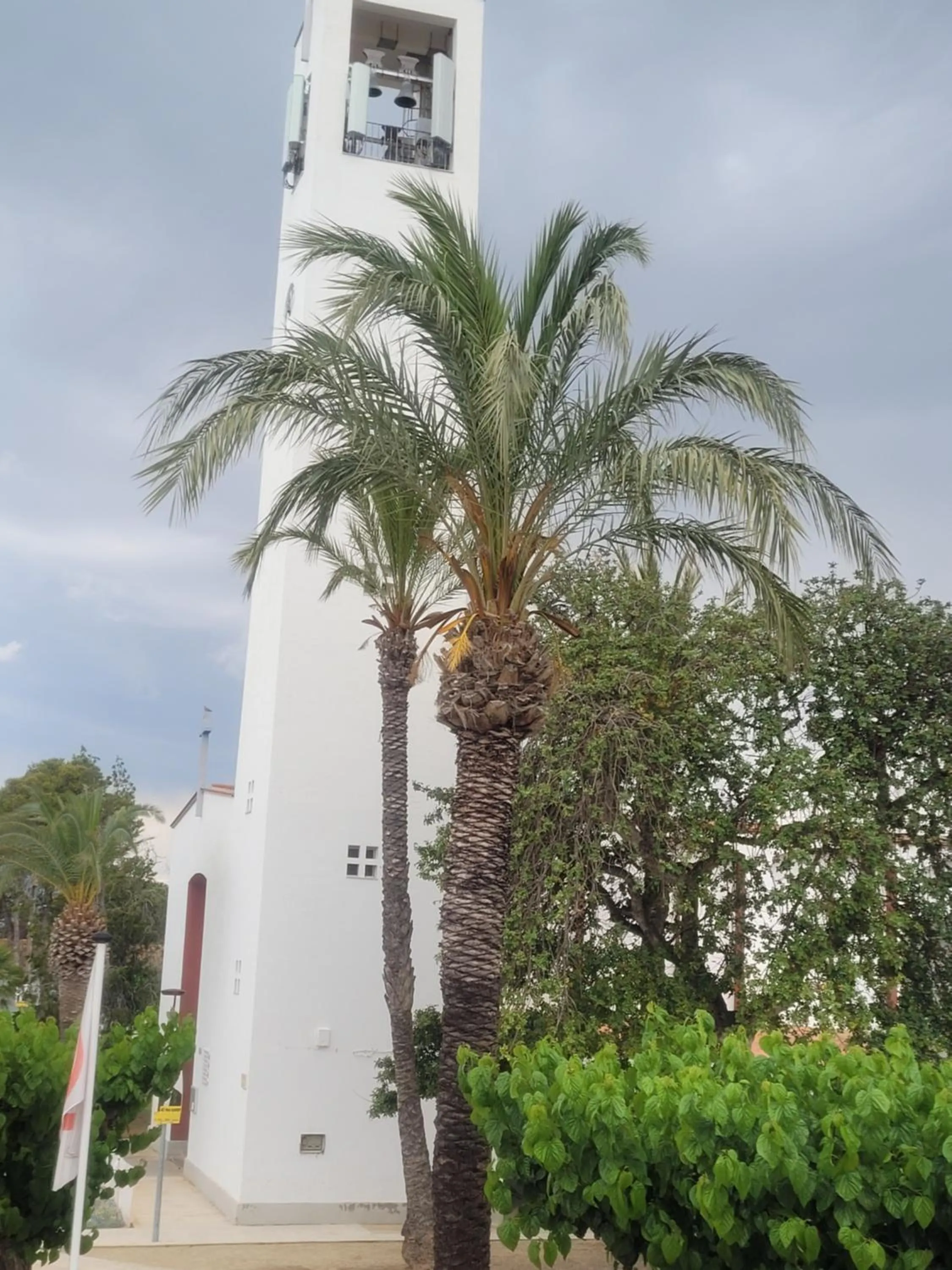 Garden view in La Llar de Laura