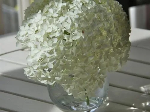 Other in Rectory Farm Annexe