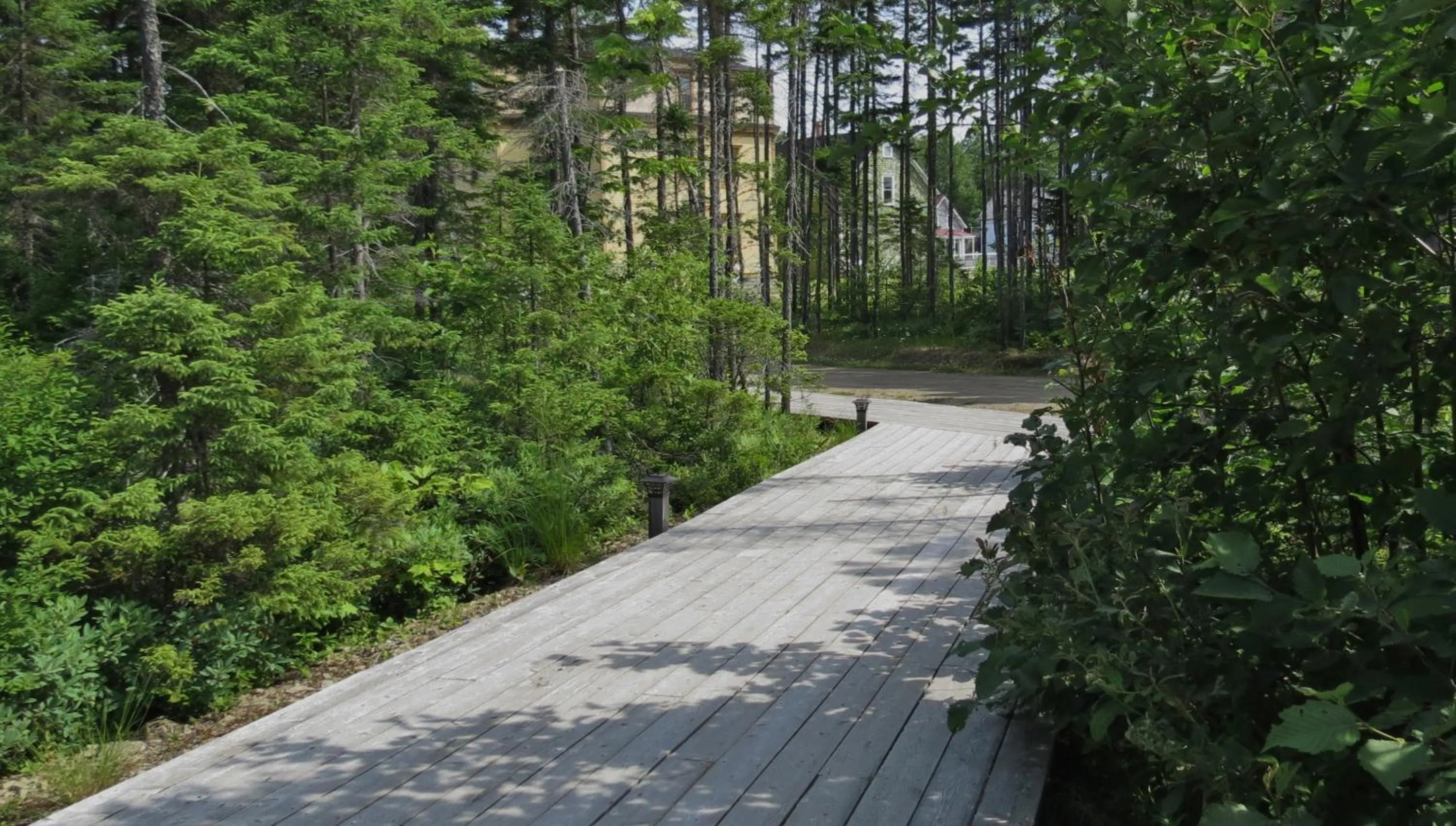Area and facilities in Hôtel Château Albert
