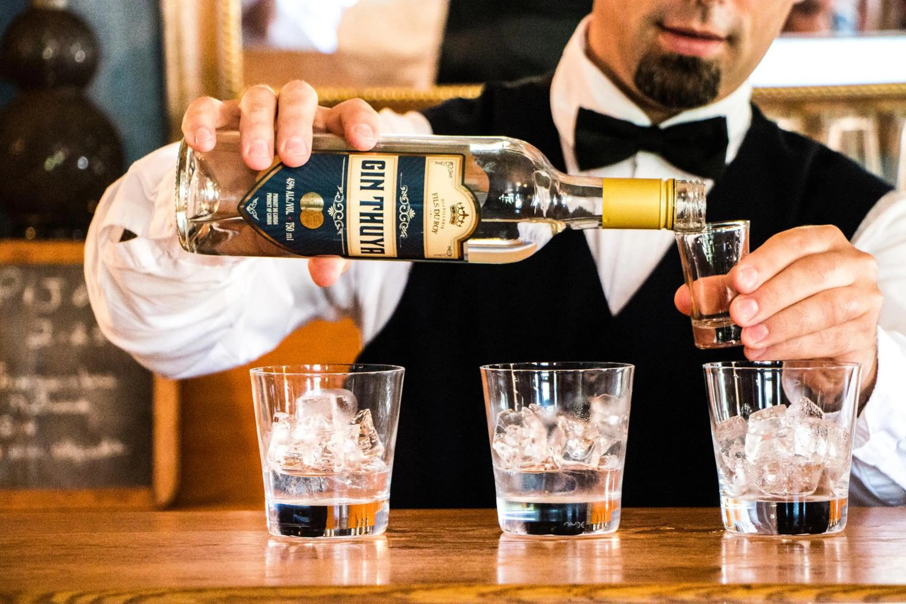 Lounge or bar in Hôtel Château Albert