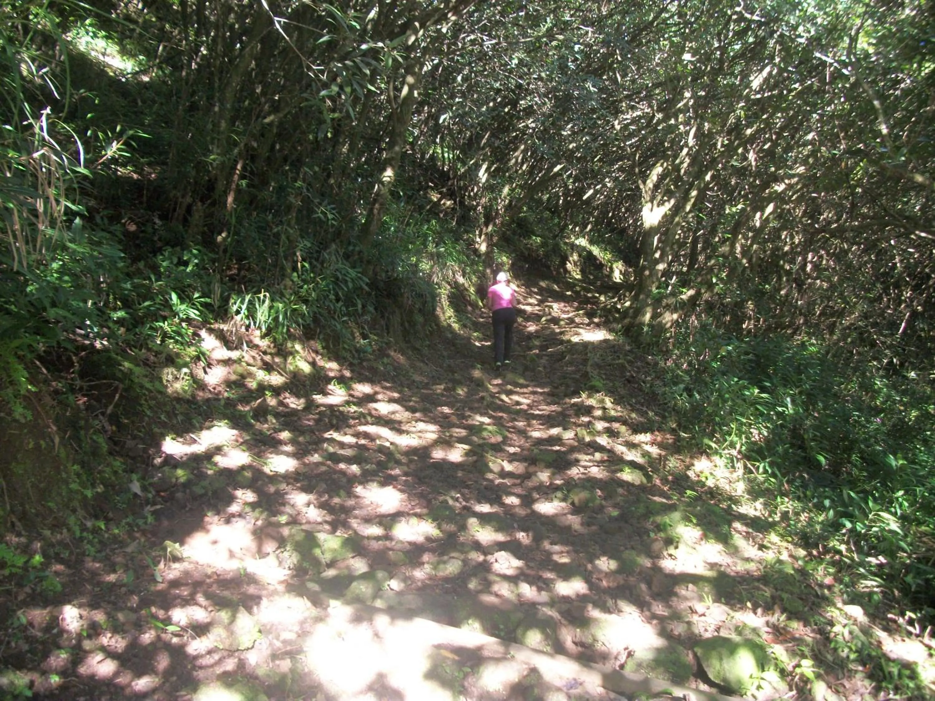 Natural landscape in Le Rubinjo - Appartement d'hôtes