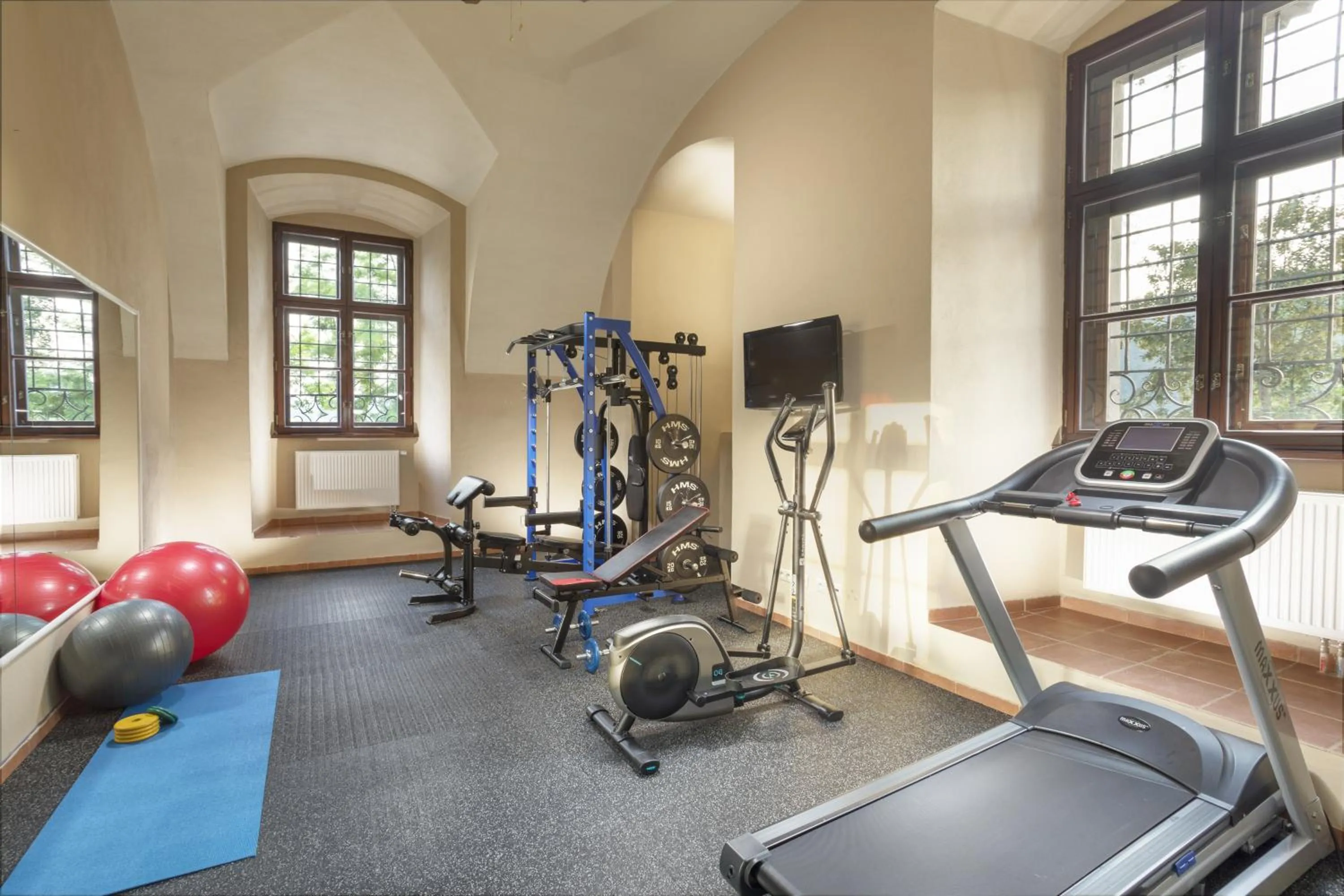 Fitness centre/facilities in Hotel Gino Park Palace - Kaštieľ Orlové