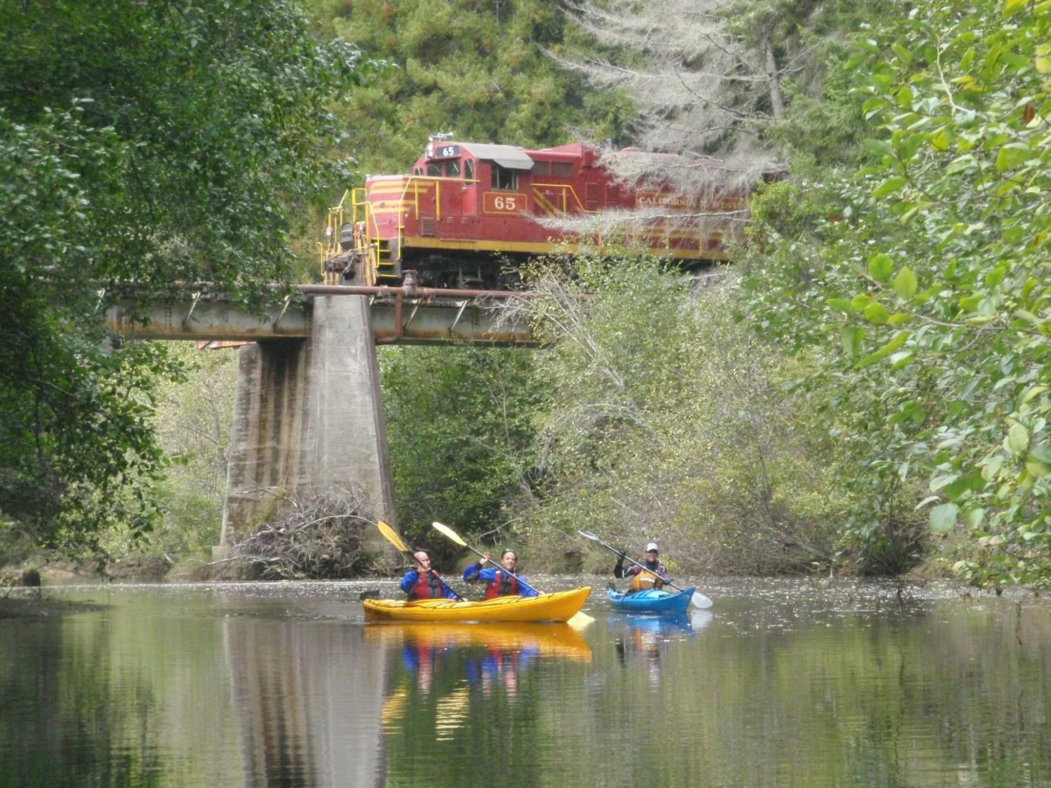 Neighbourhood in Cottages at Little River Cove