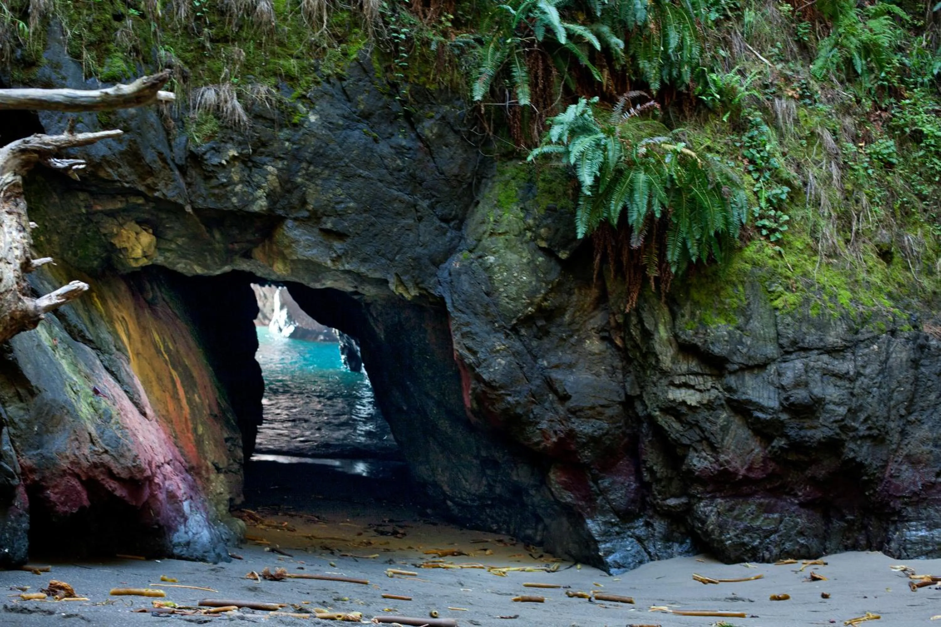 Neighbourhood in Cottages at Little River Cove