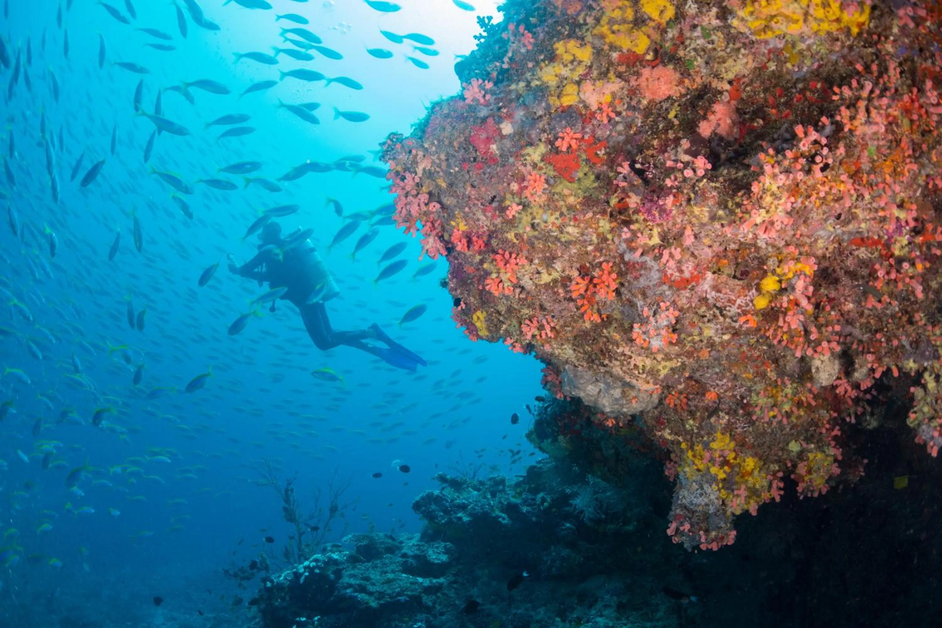 Natural landscape in Milaidhoo Maldives