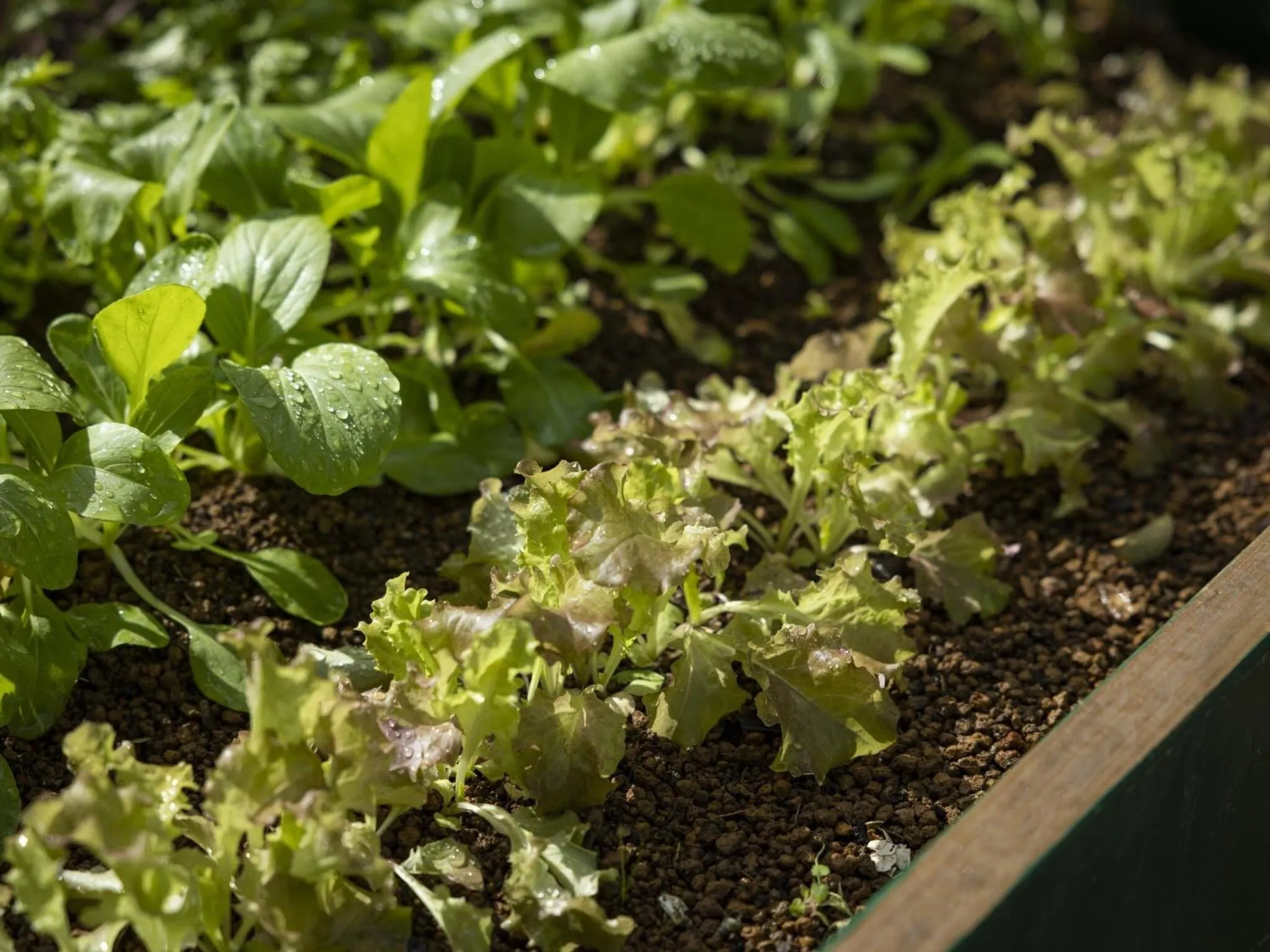 Area and facilities in Hotel Wing International Select Hakata-Ekimae