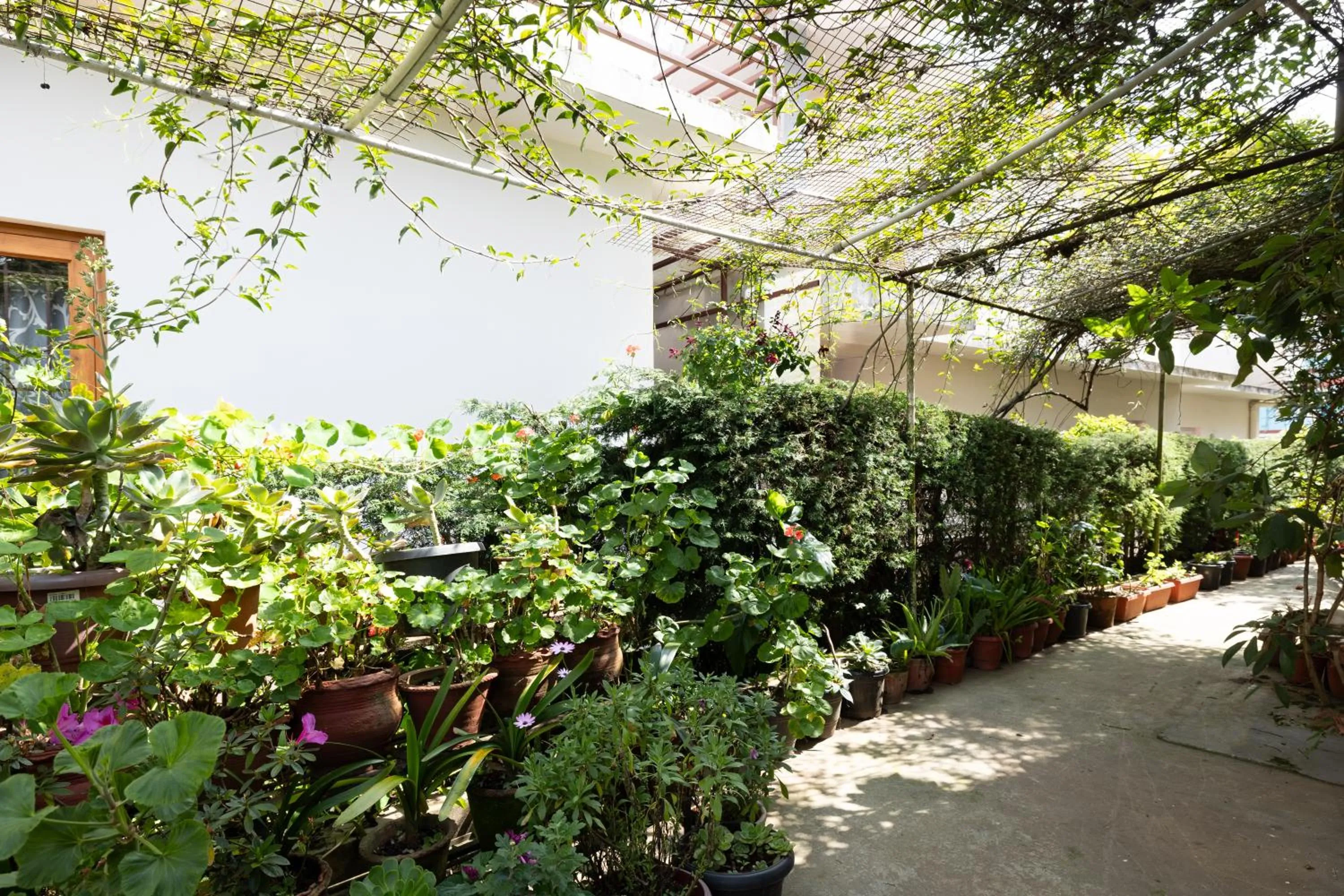 Garden in Colonels inn