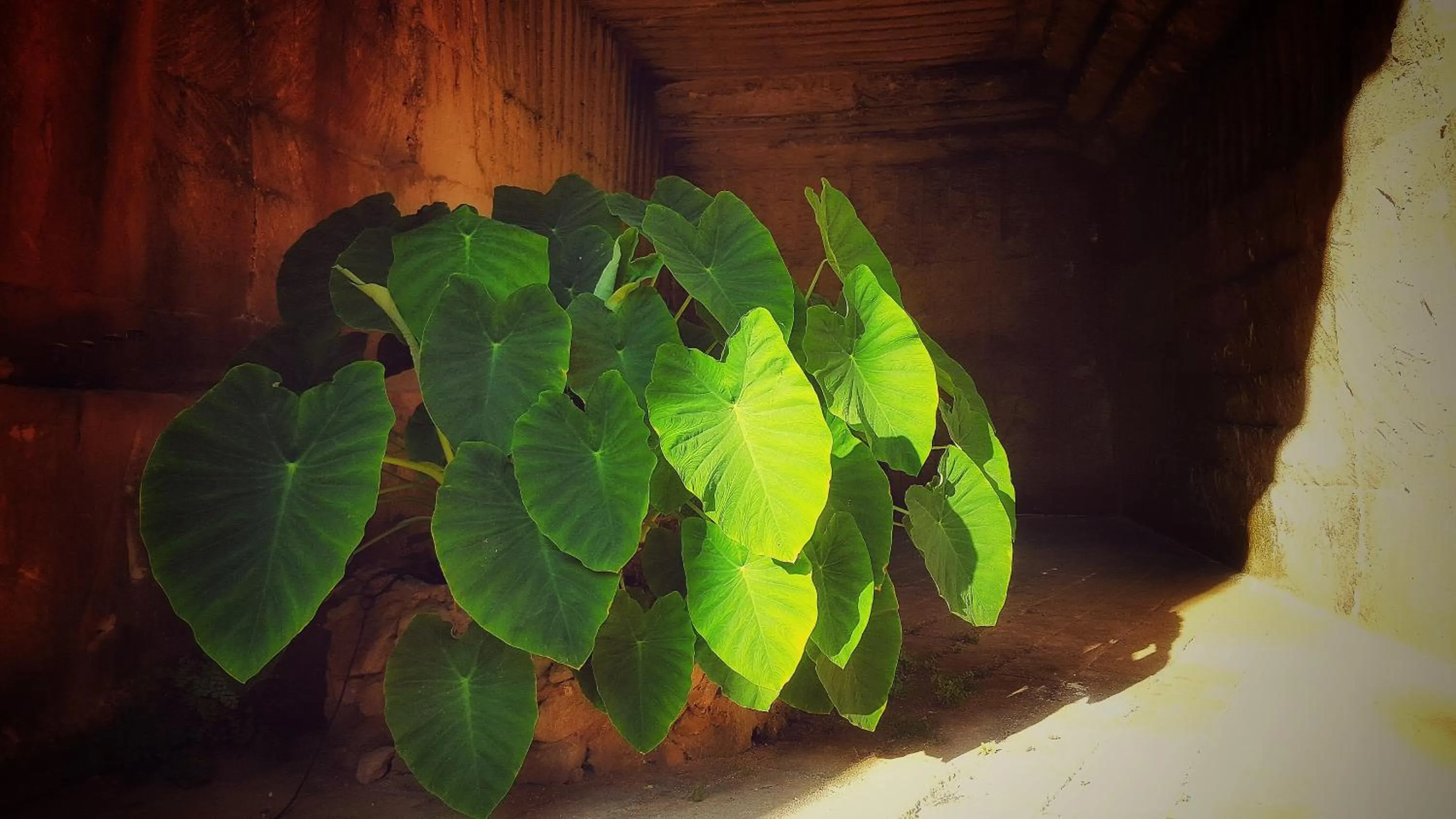 Villa Margherita Residence