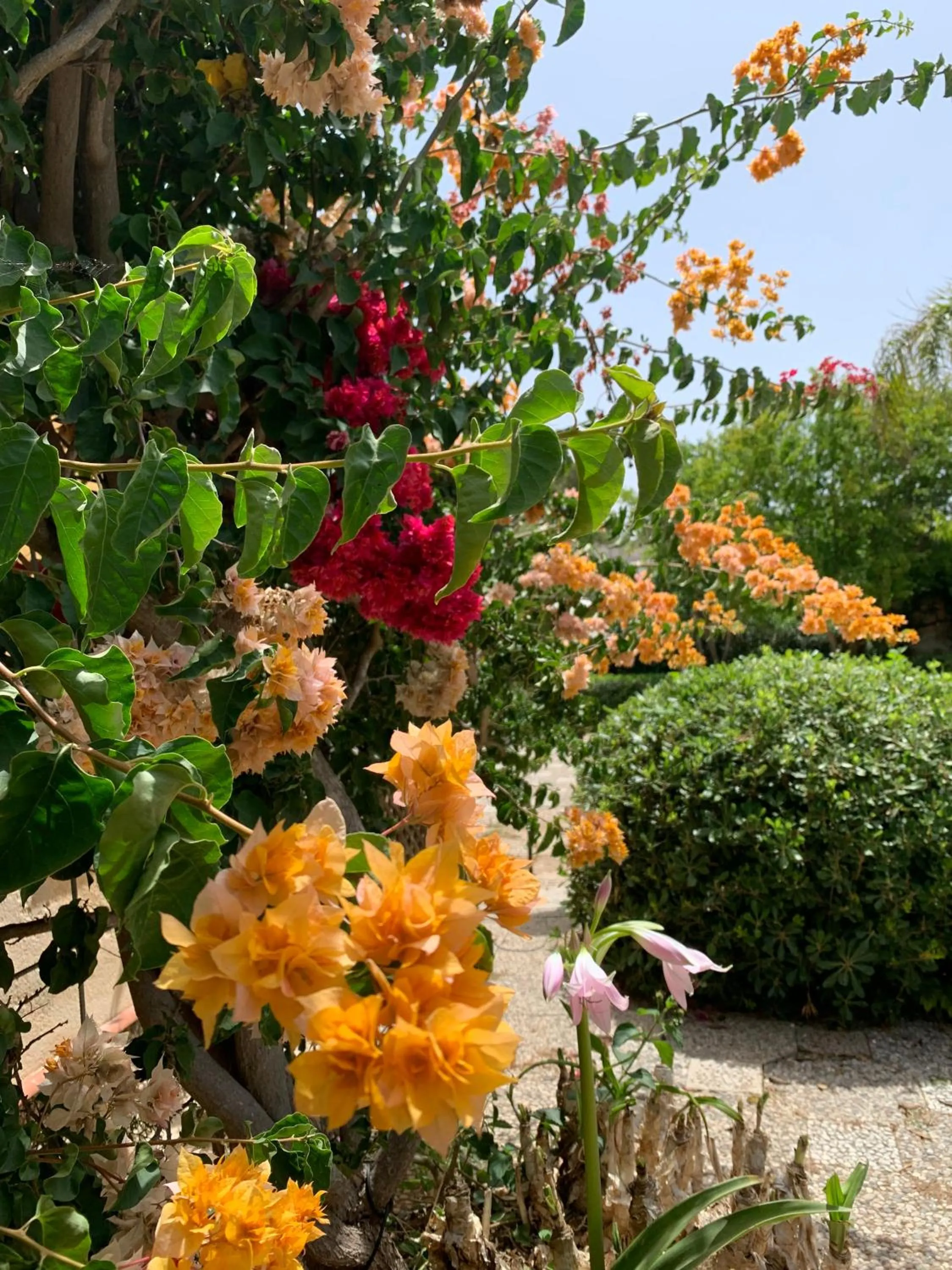 Villa Margherita Residence