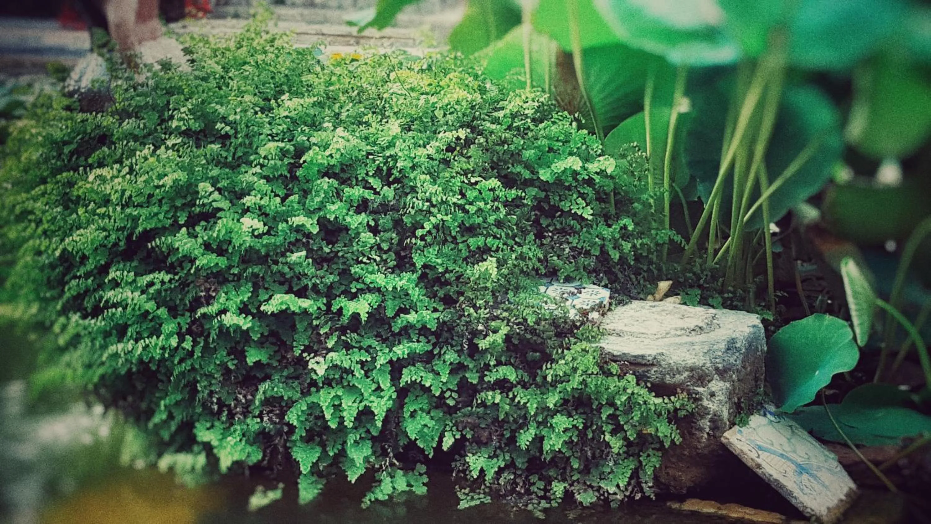 Villa Margherita Residence