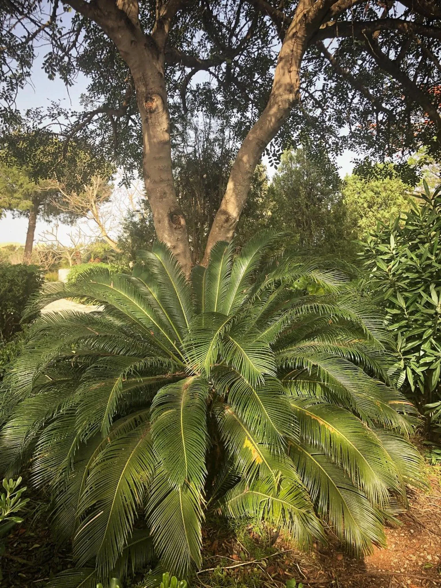 Villa Margherita Residence