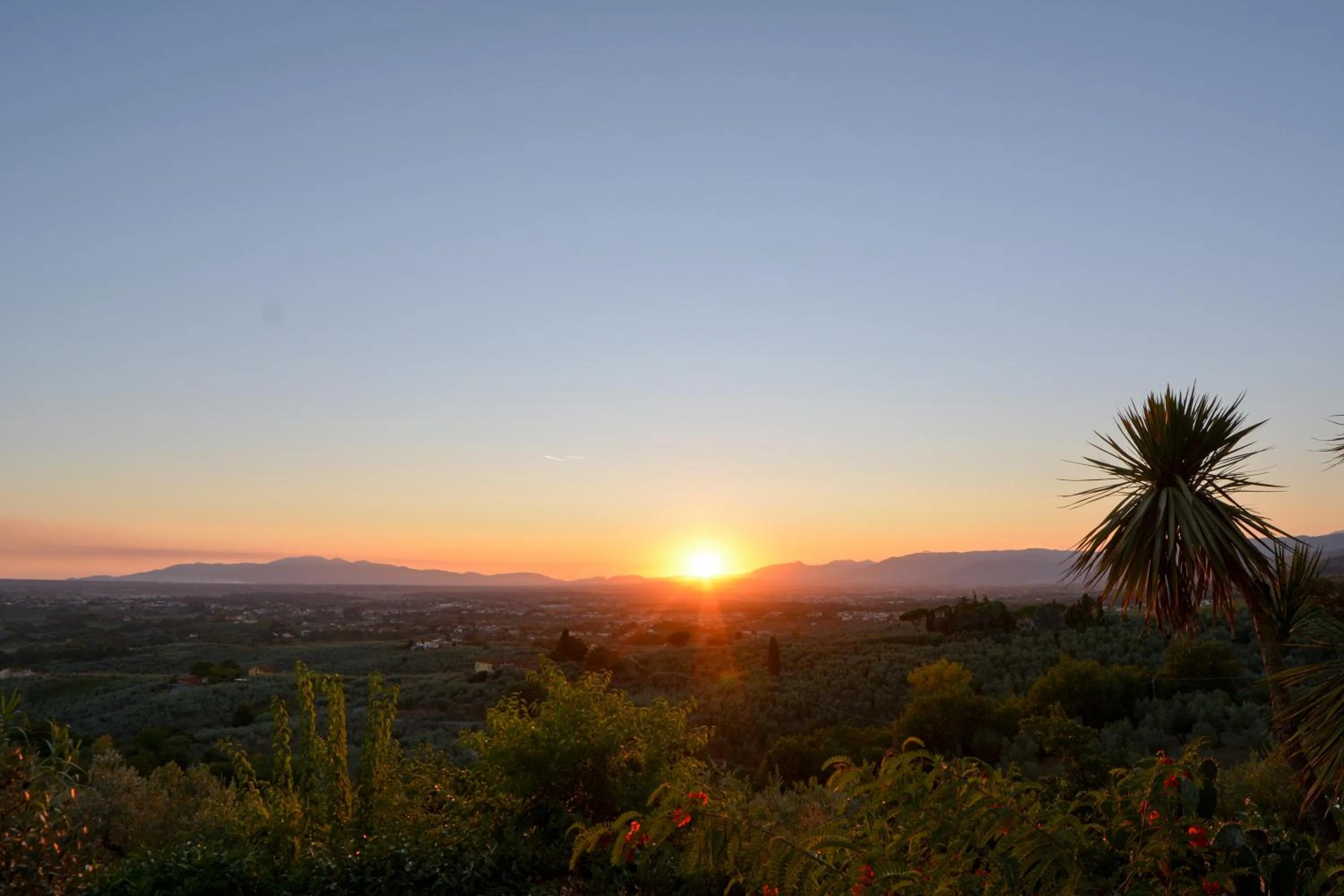 Garden in Agriturismo Podere Rondinaio