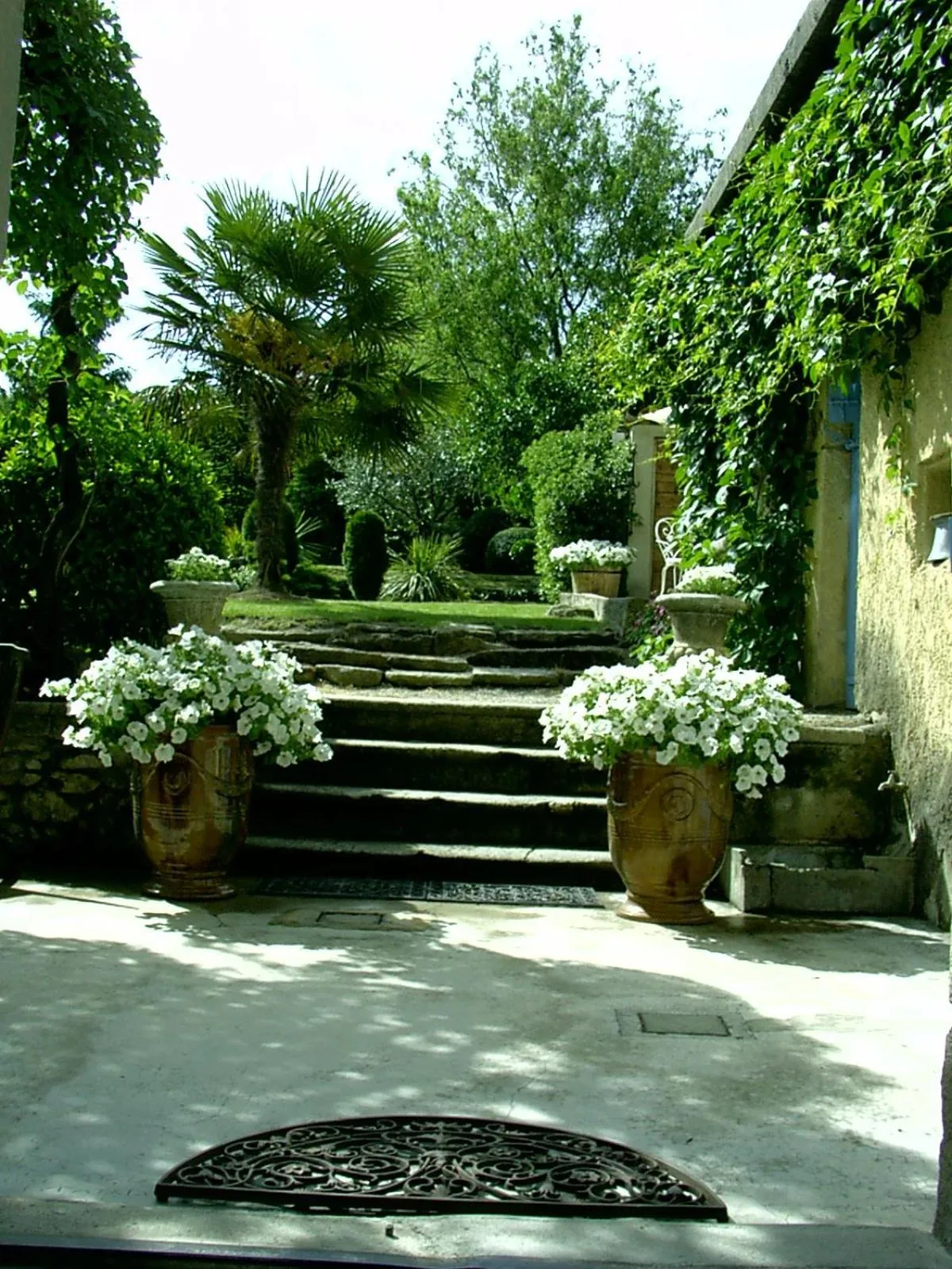 Decorative detail in Maison Sule